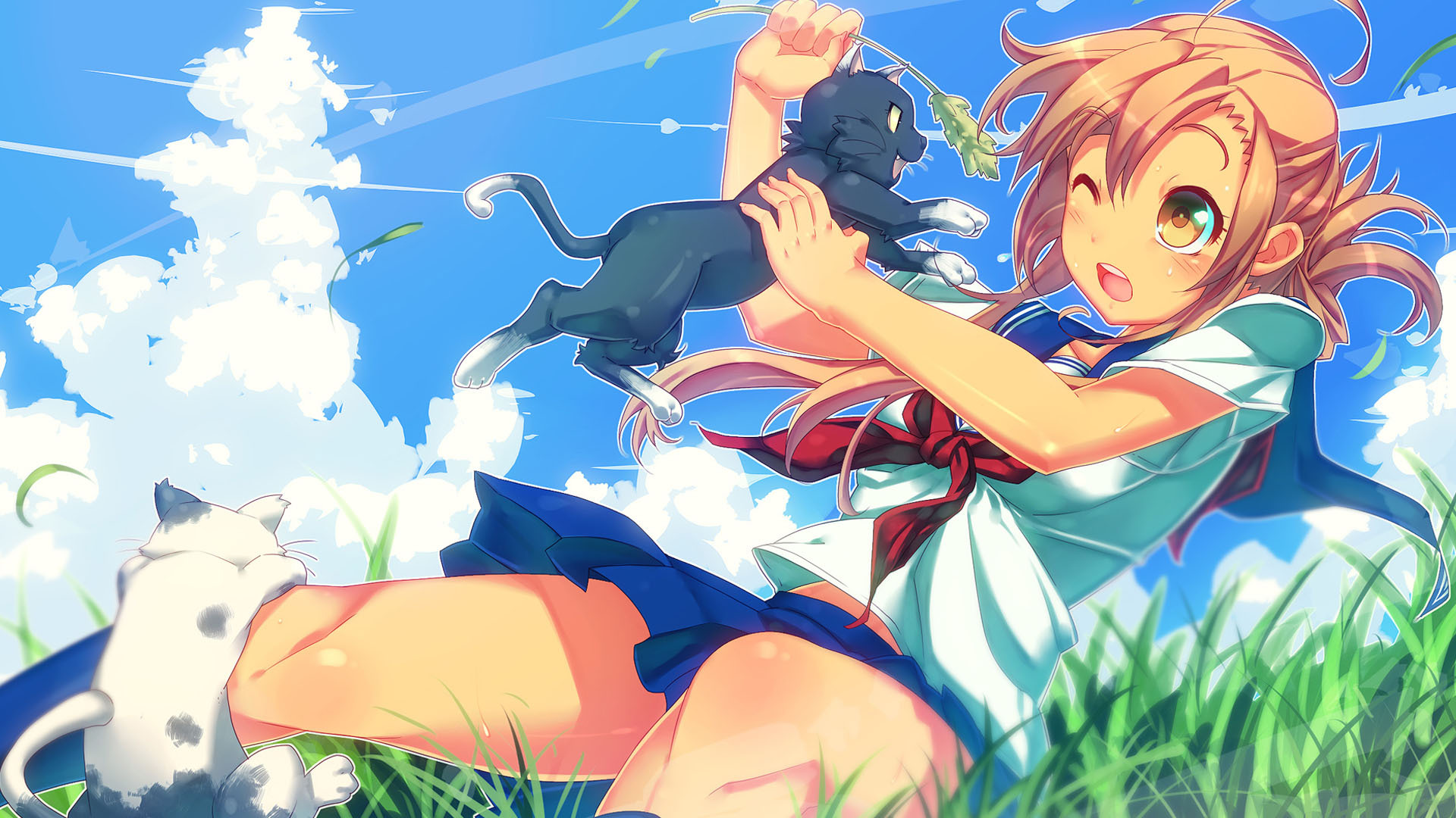 动漫 猫愿三角恋