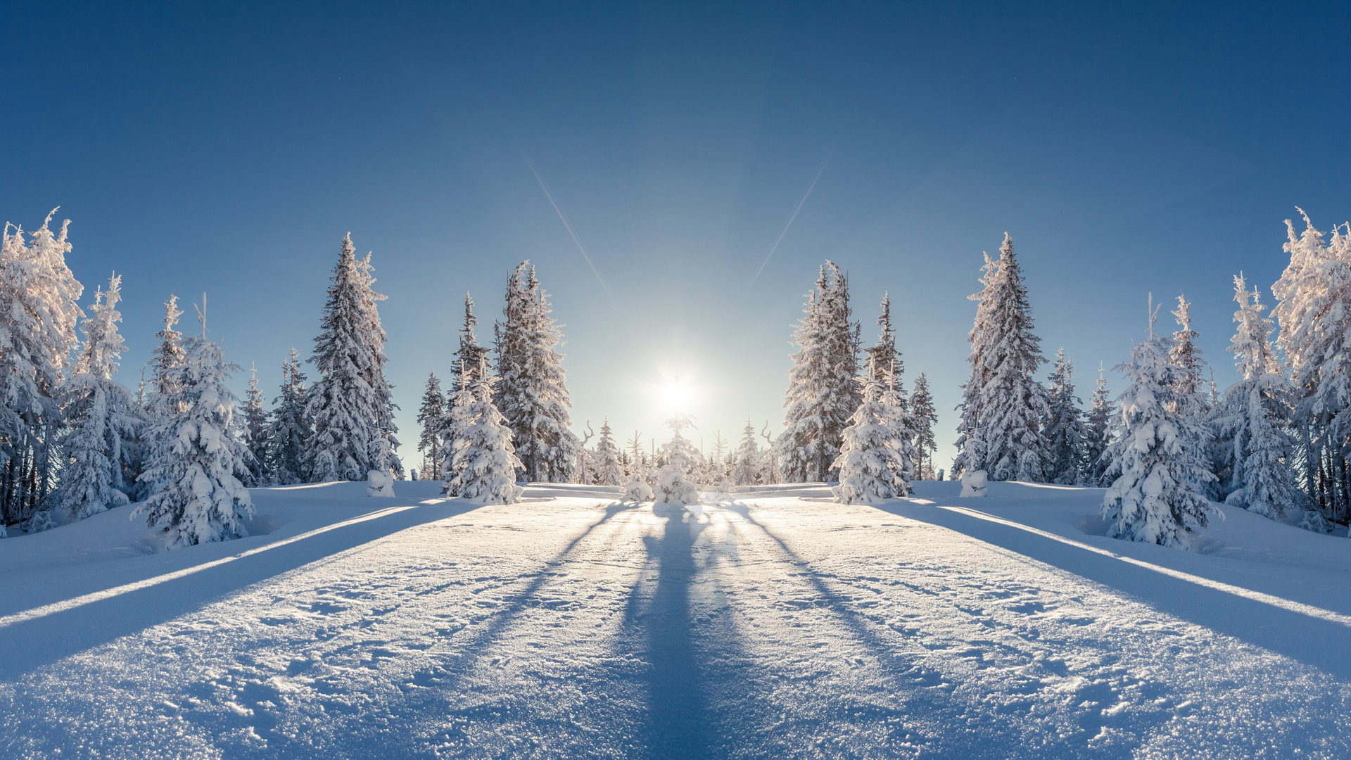 冰天雪地 阳光