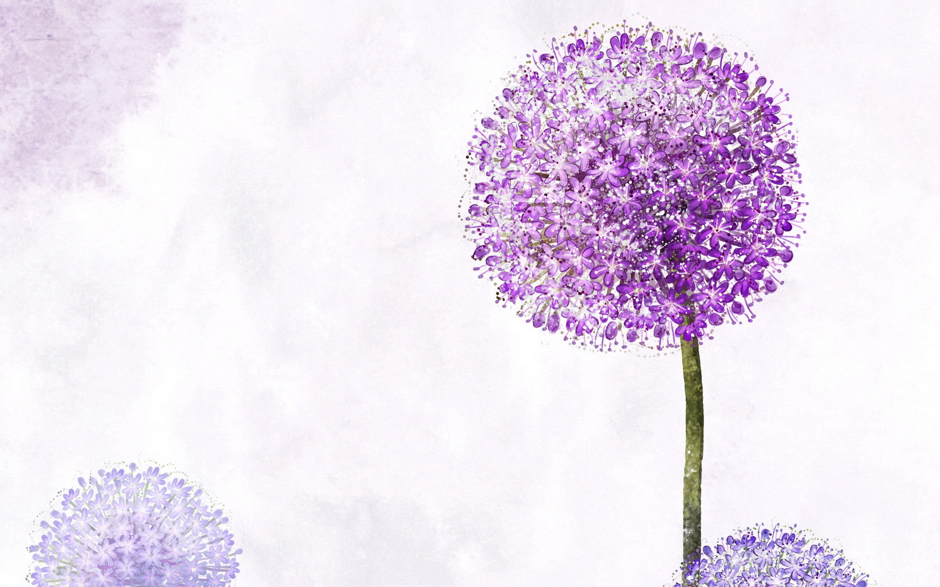 小清新  浪漫   简约  花卉   宽屏