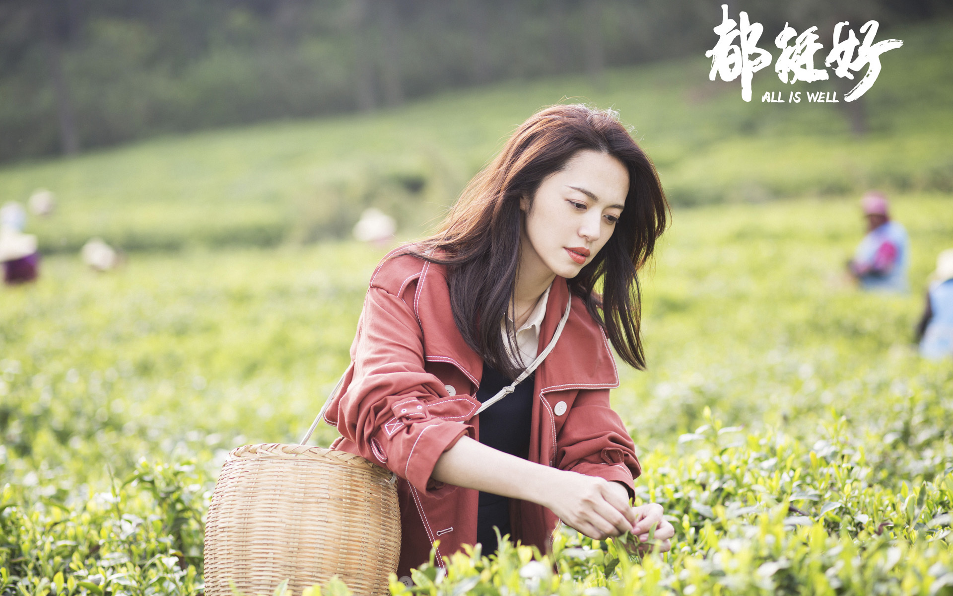 影视剧照 都挺好 姚晨