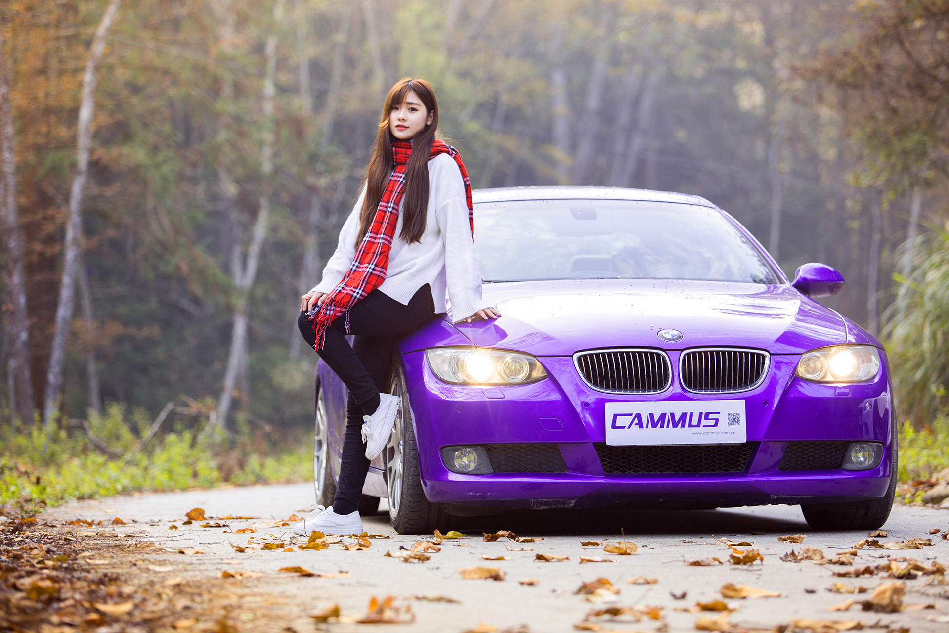 宝马 紫色 车模