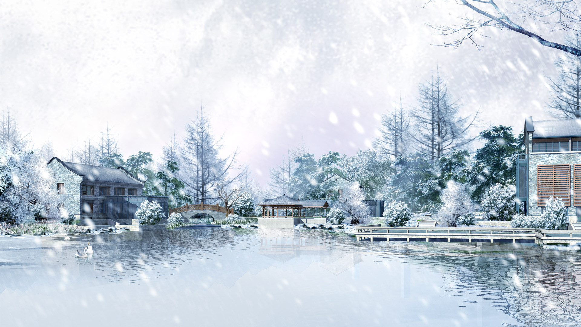 风景 飘雪