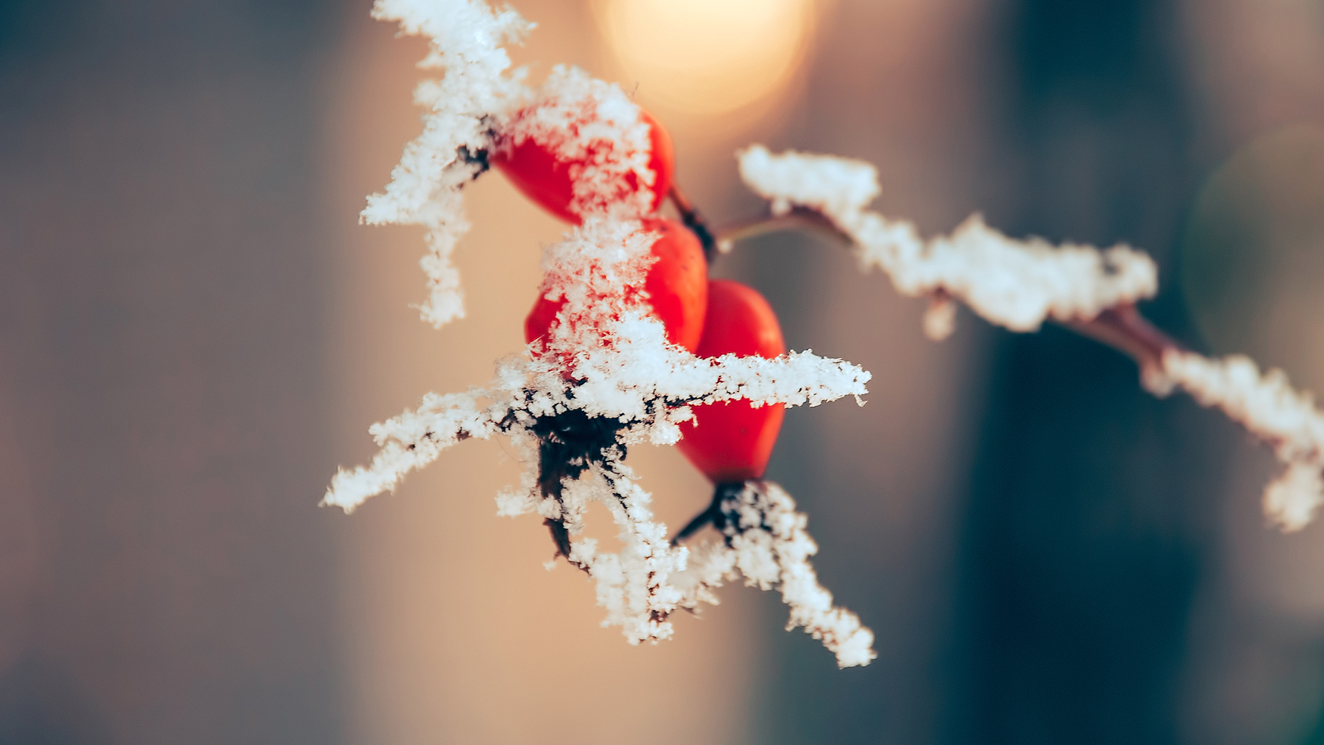风景大片 冰天雪地