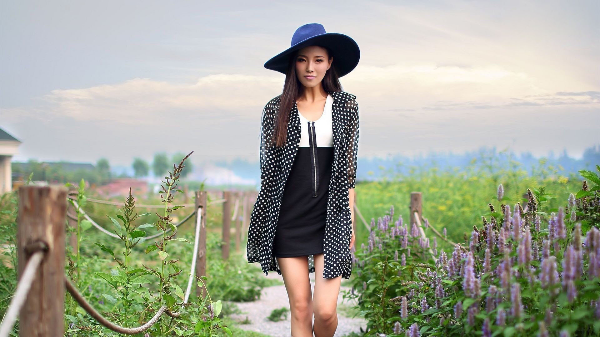 美女 御姐范 薰衣草