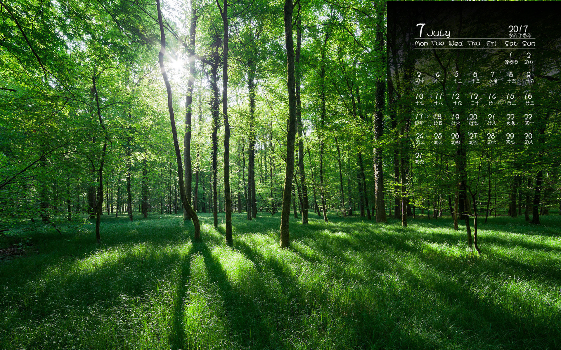 月历 2017年7月