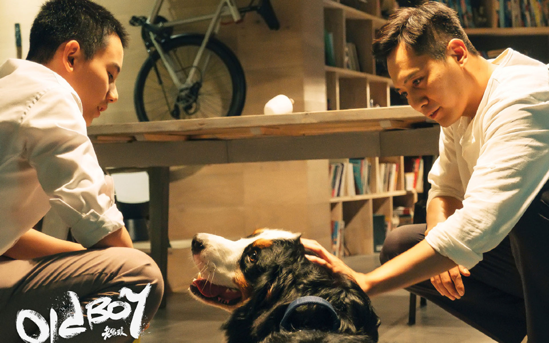 影视剧照 老男孩 刘烨