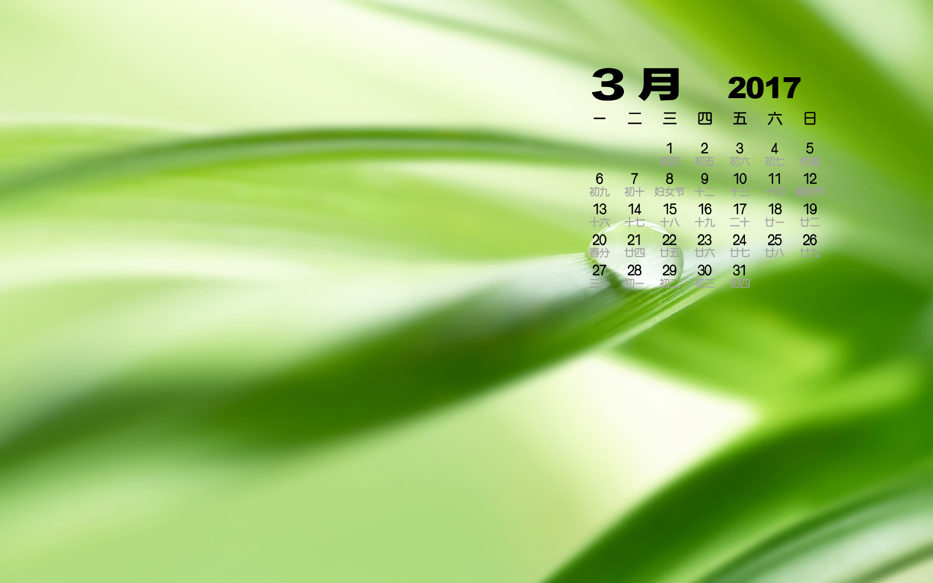 2017年3月 小清新 护眼