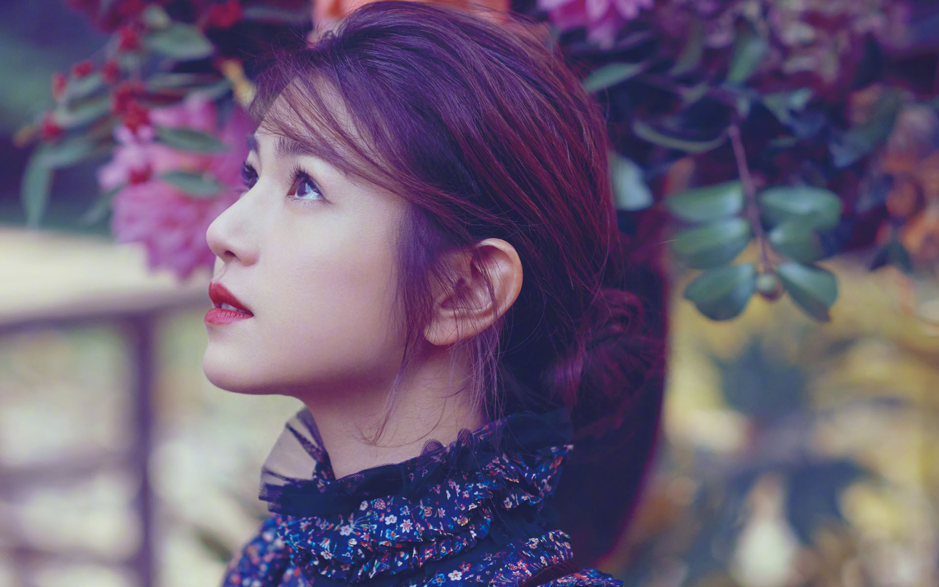 港台明星 陈妍希