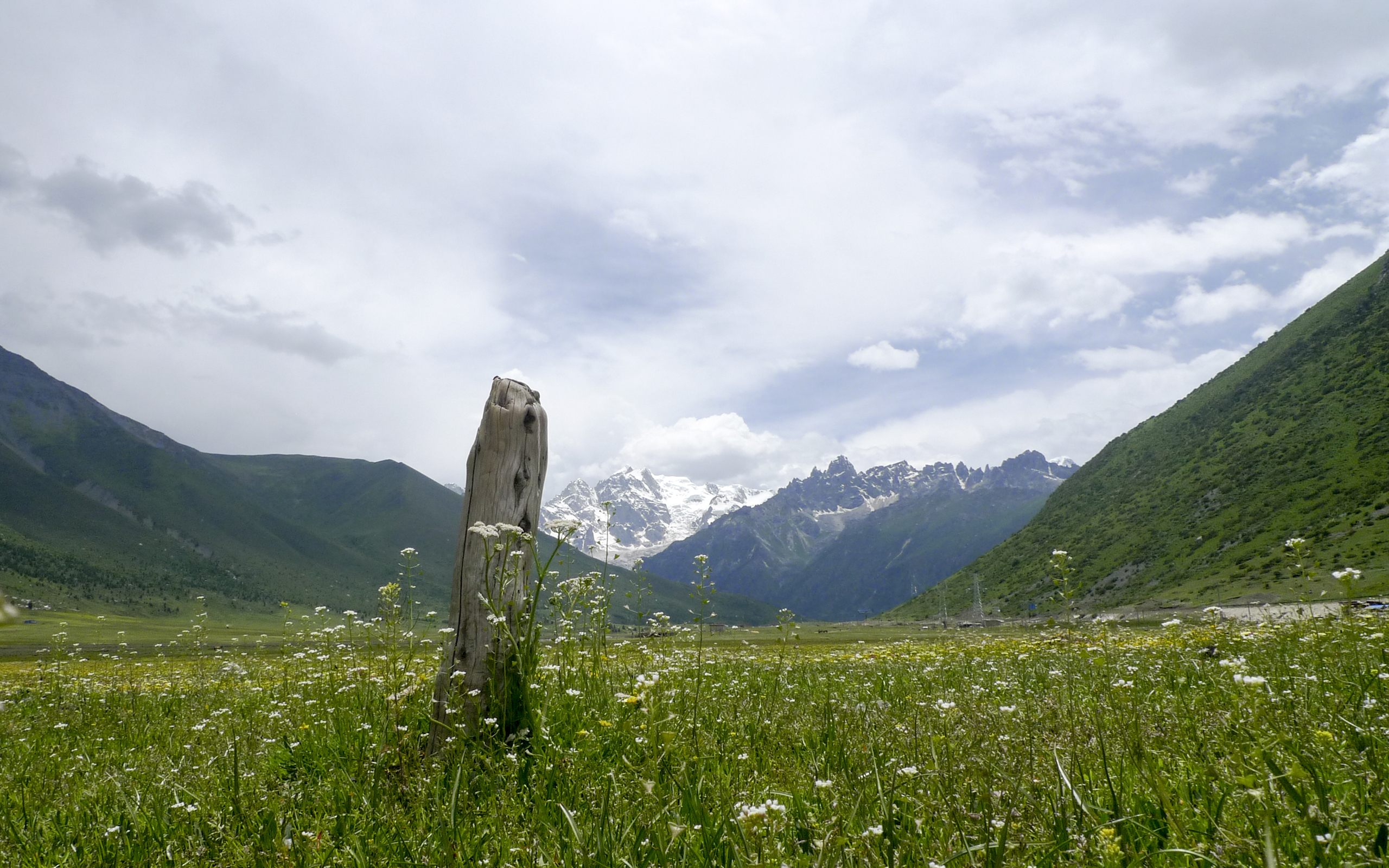 风景 自然风光 草地 雪山 山脉 山峰