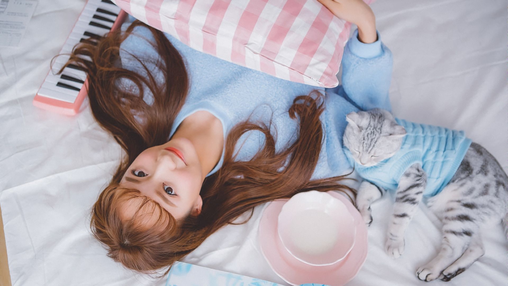 清纯 唯美 家居 猫咪