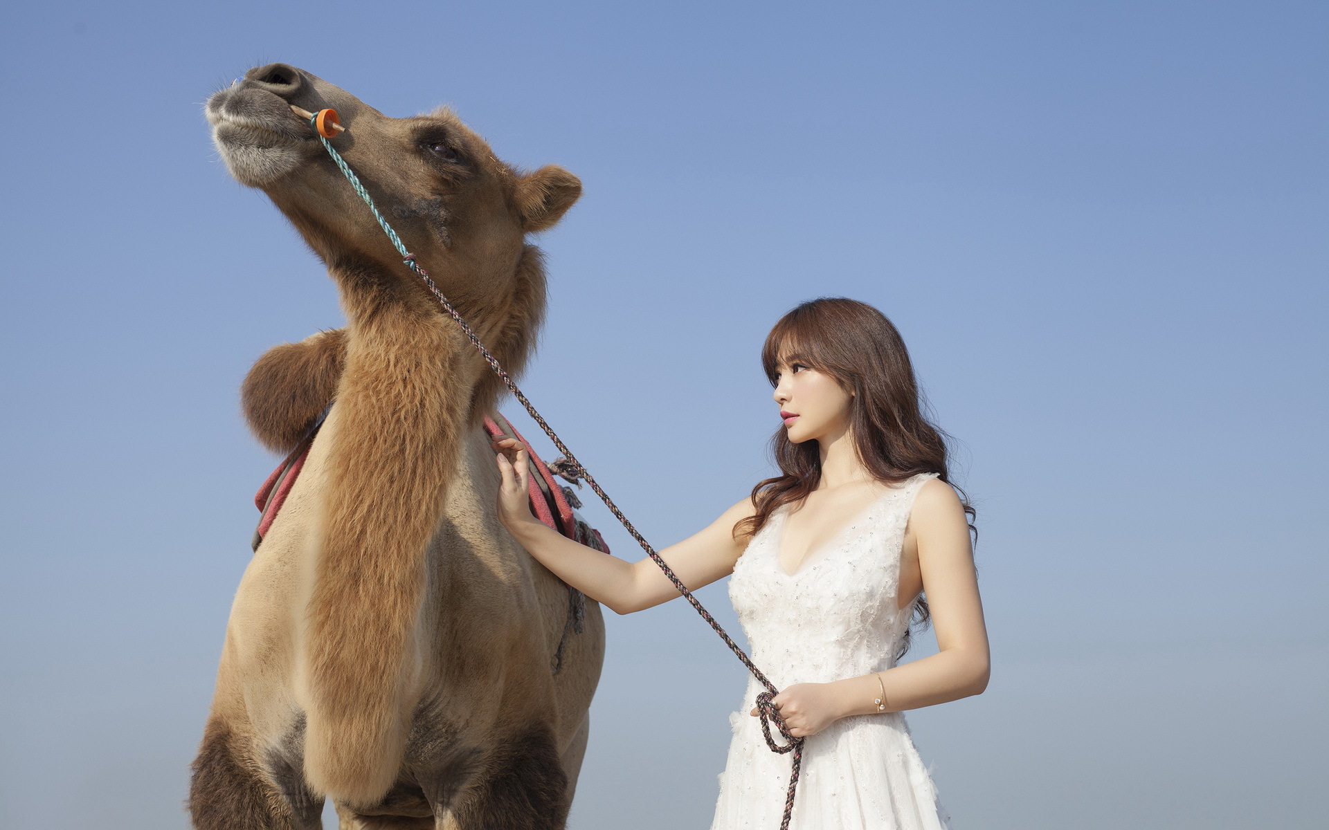 明星 柳岩 美女 性感