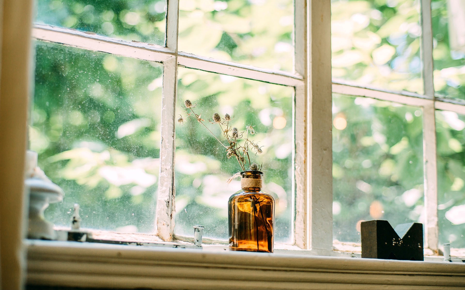 小清新 静物写真 清新 淡雅