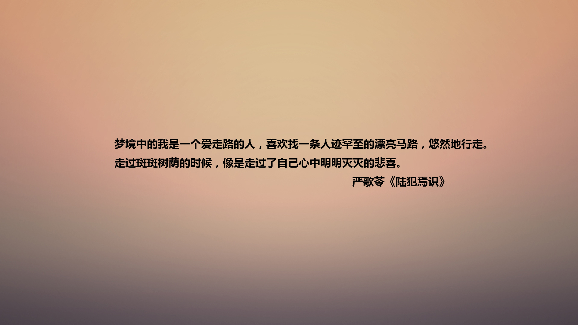 文字 语录 严歌苓 陆犯焉识