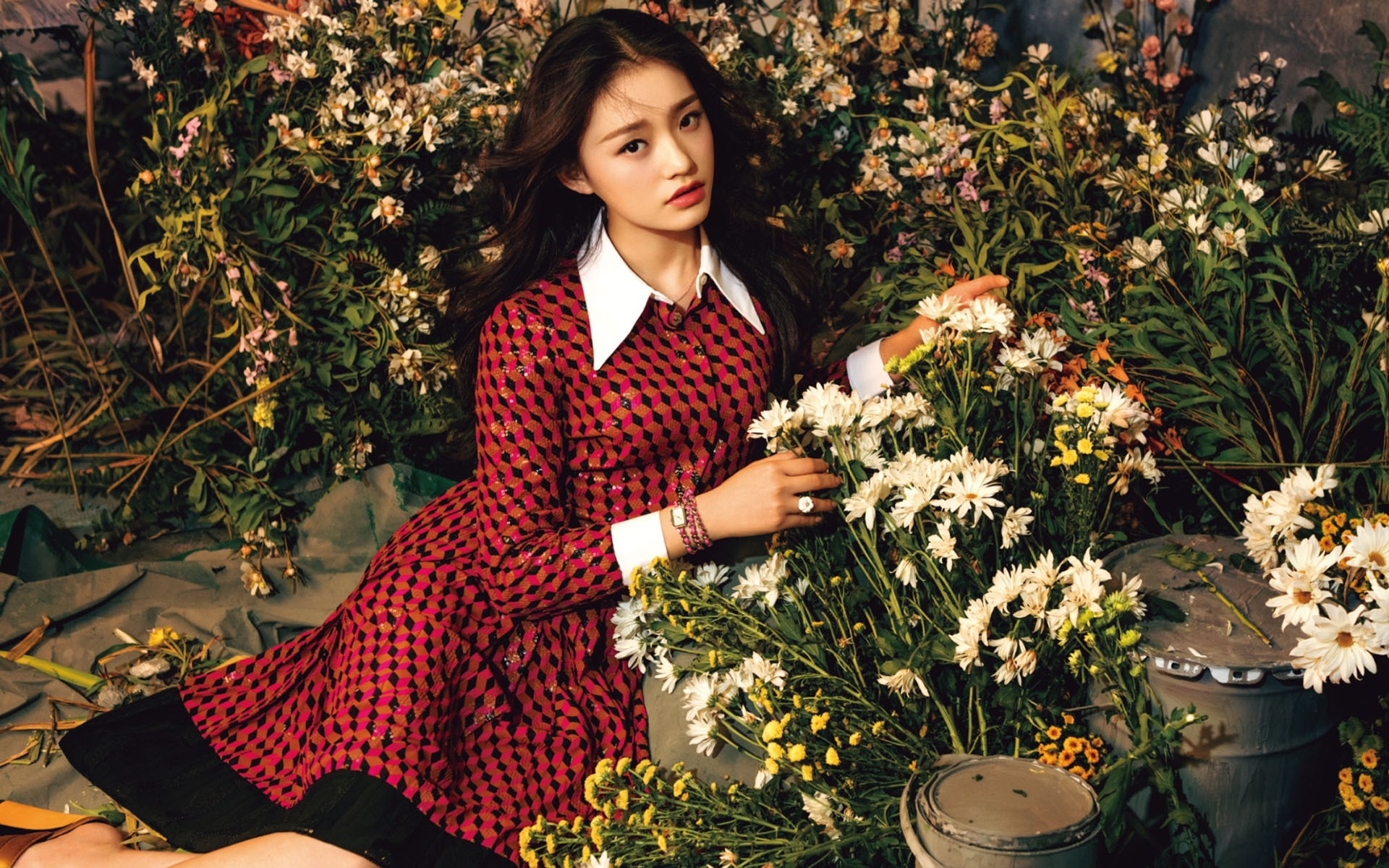 美女 明星 林允 演员