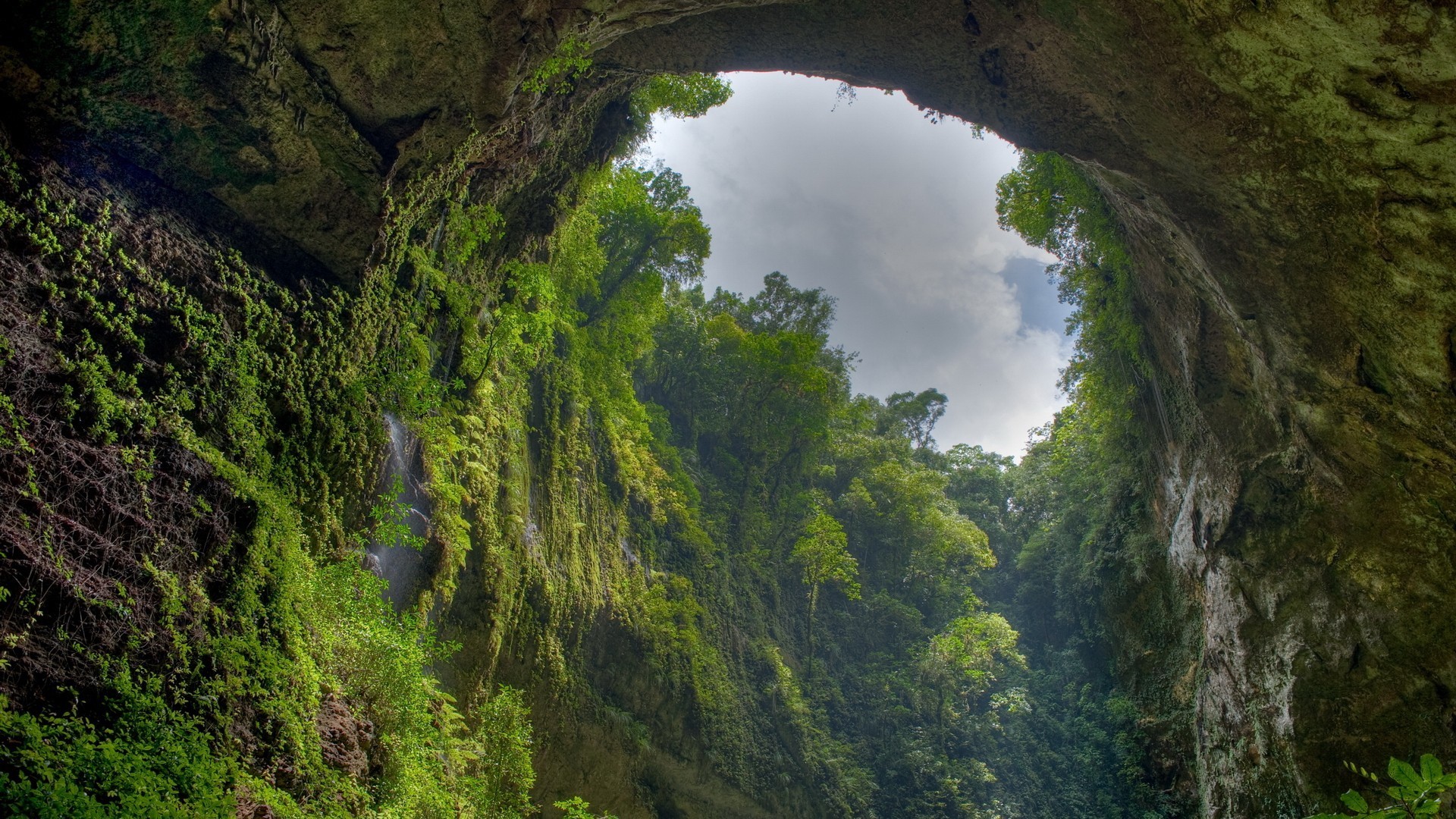 风景 自然风光 森林 山川 山脉