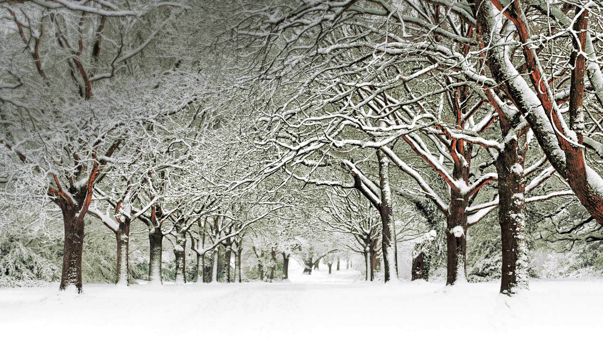 冰天雪地