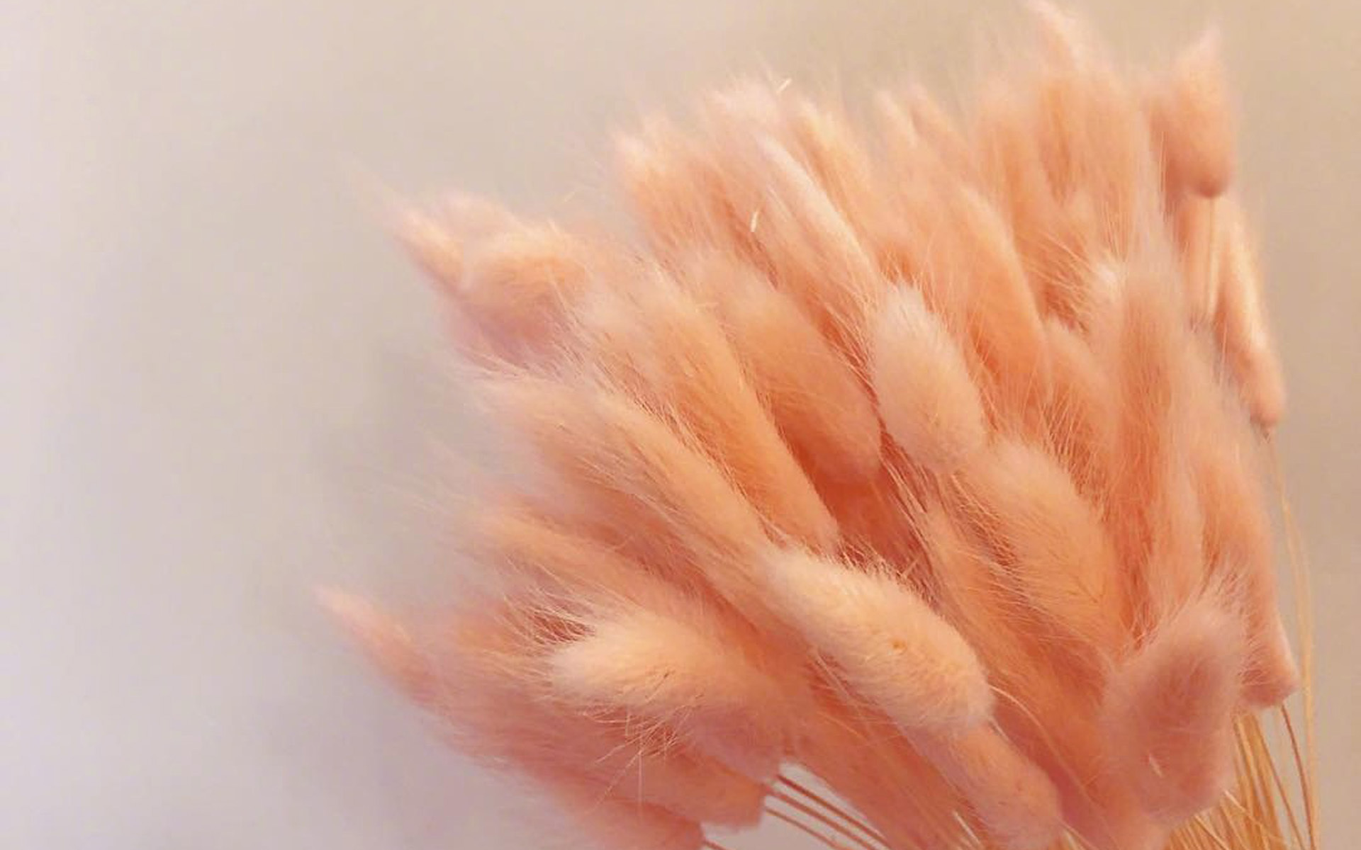 小清新 温馨一刻