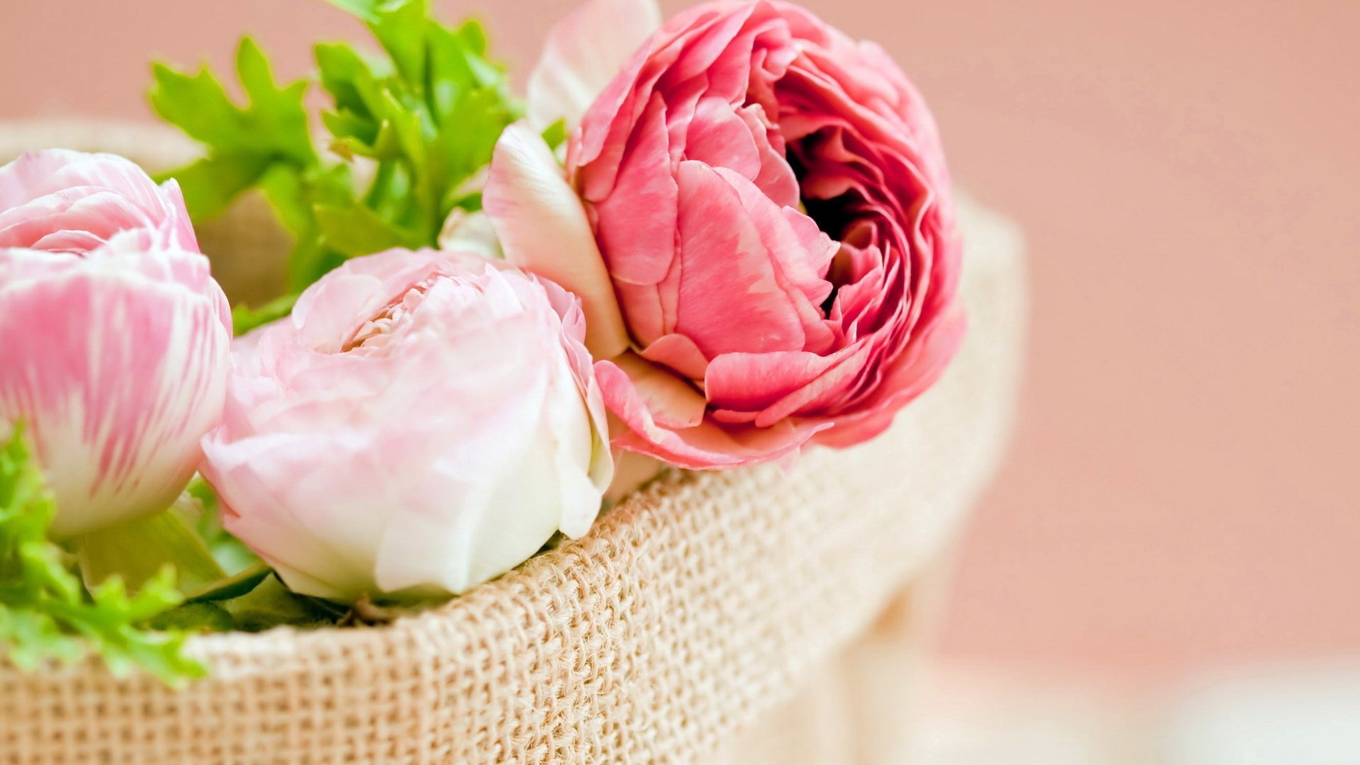 小清新 简单 温馨