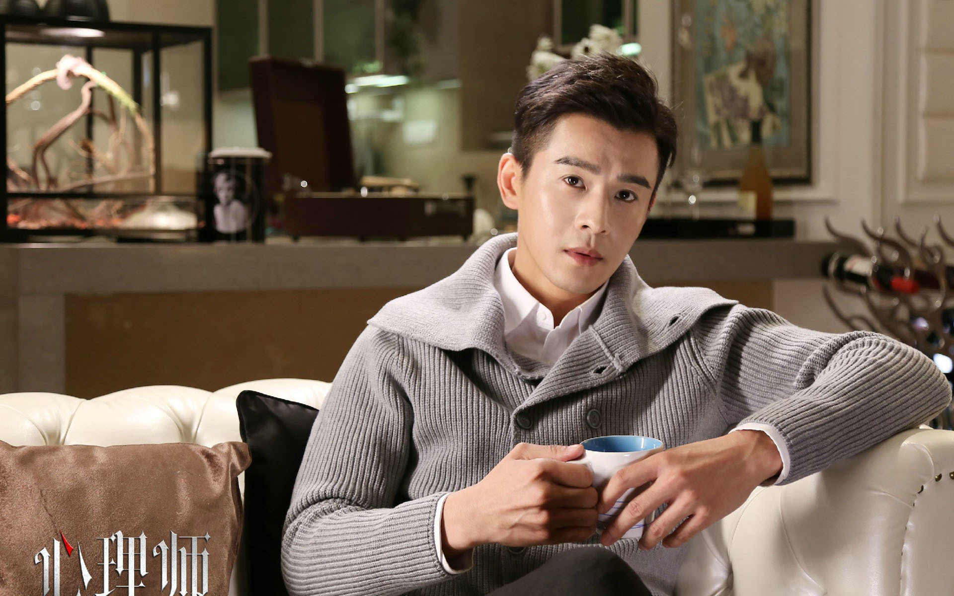 影视 电视剧 心理师 乔振宇