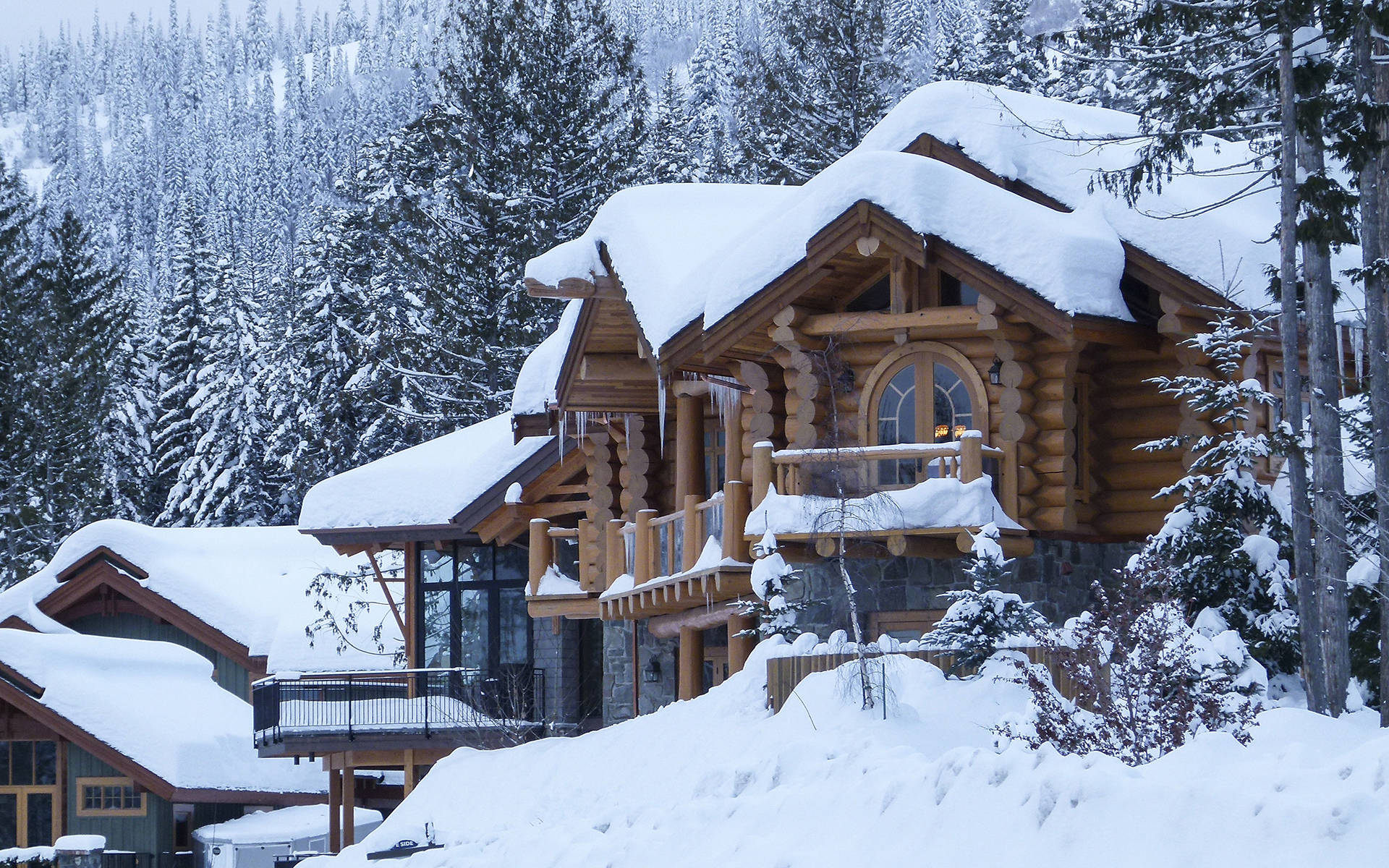 自然风光  冬季  雪景  唯美