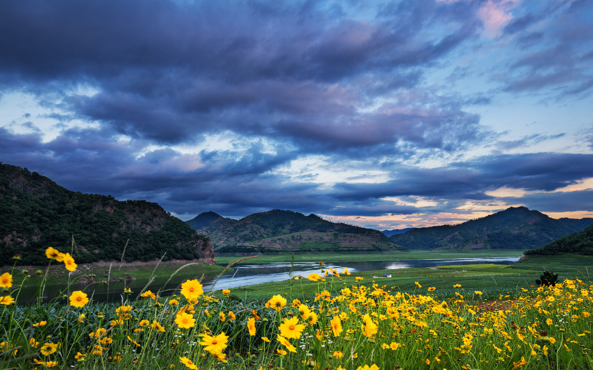 风景 晚霞 鲜花