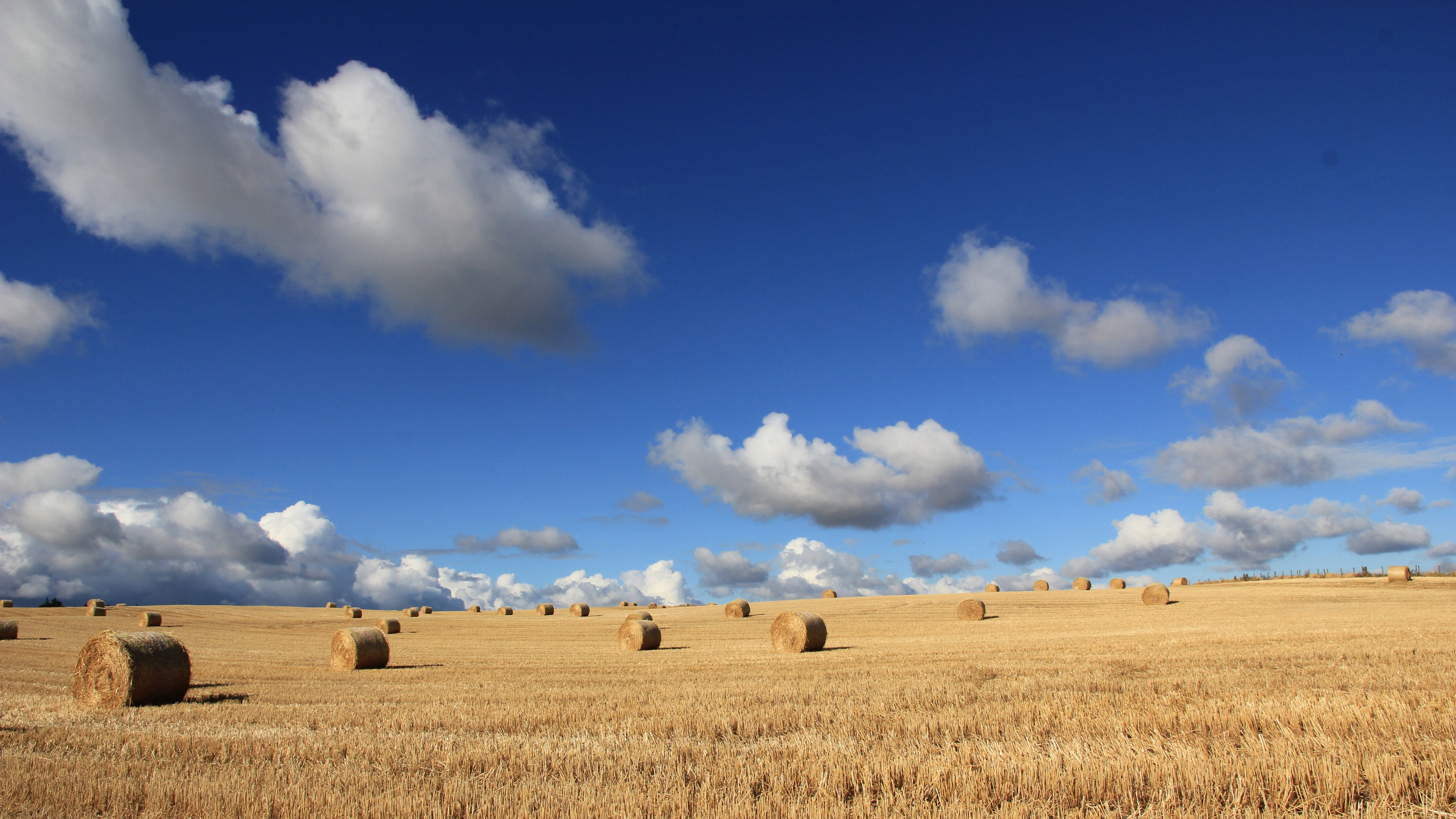 蓝天  白云 一望无际的尽头