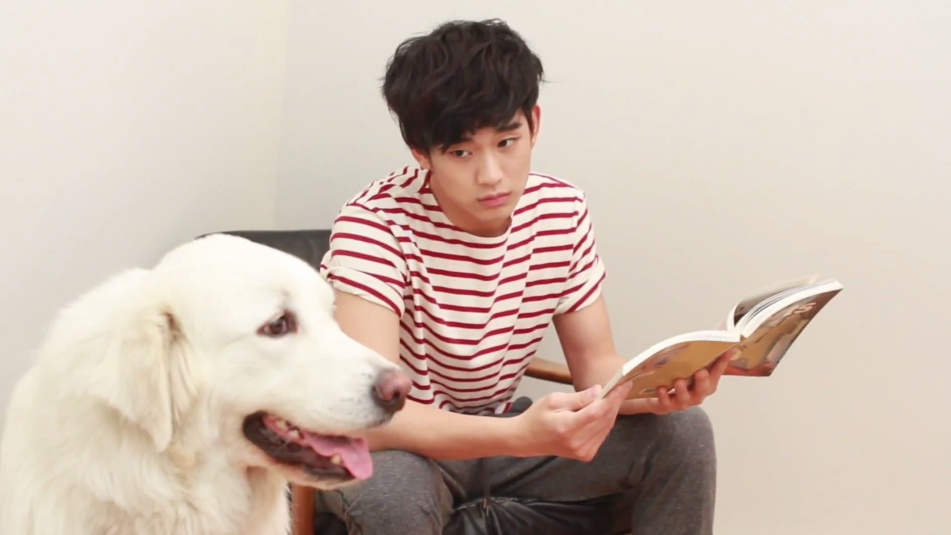 安宰贤 韩国 演员 小鲜肉 帅哥 明星