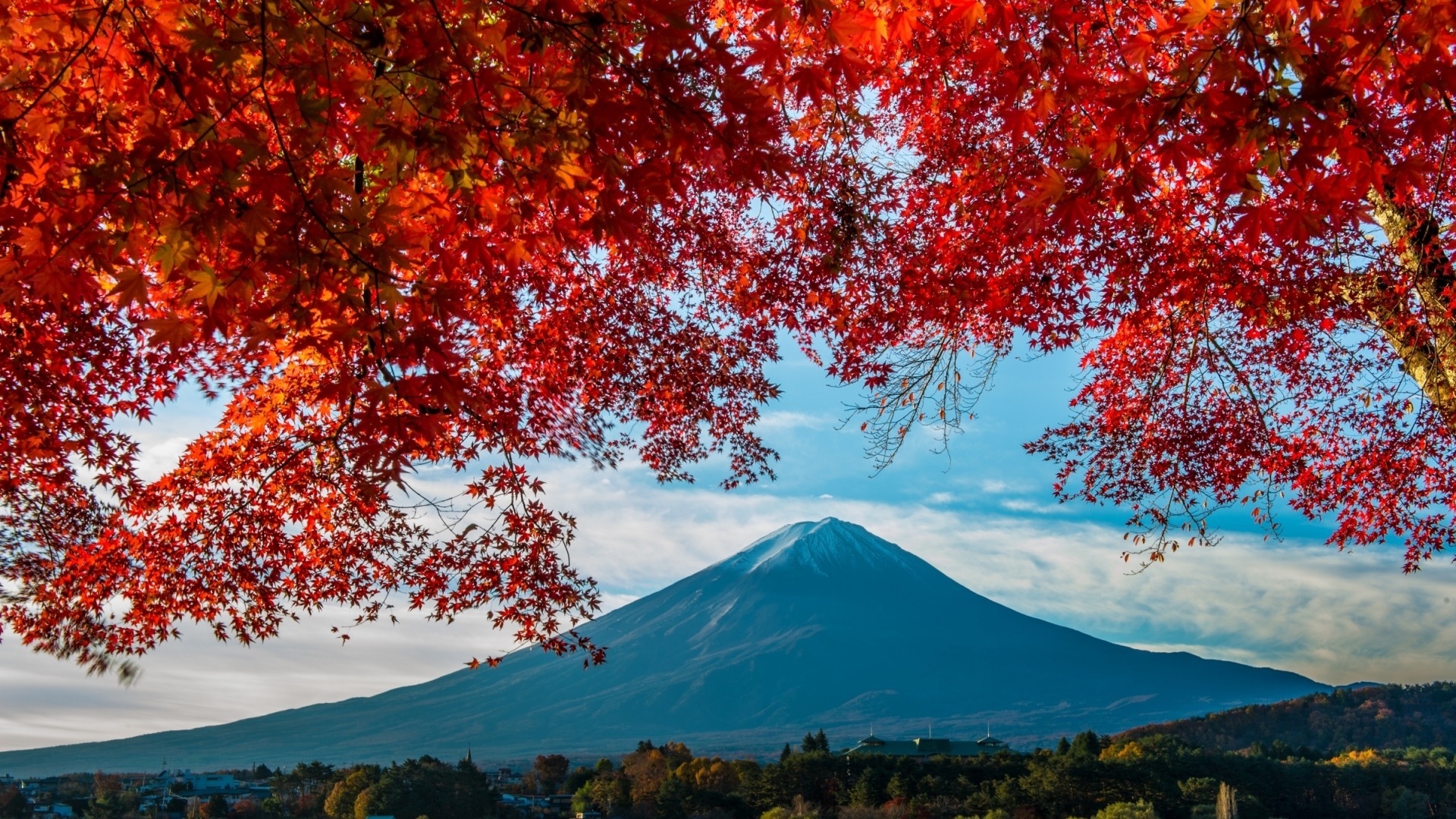 风景  旅游胜地 富士山