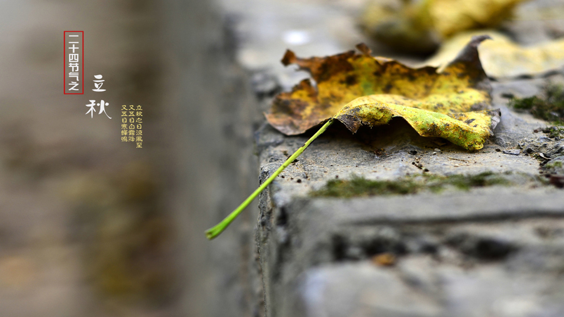 二十四节气 立秋