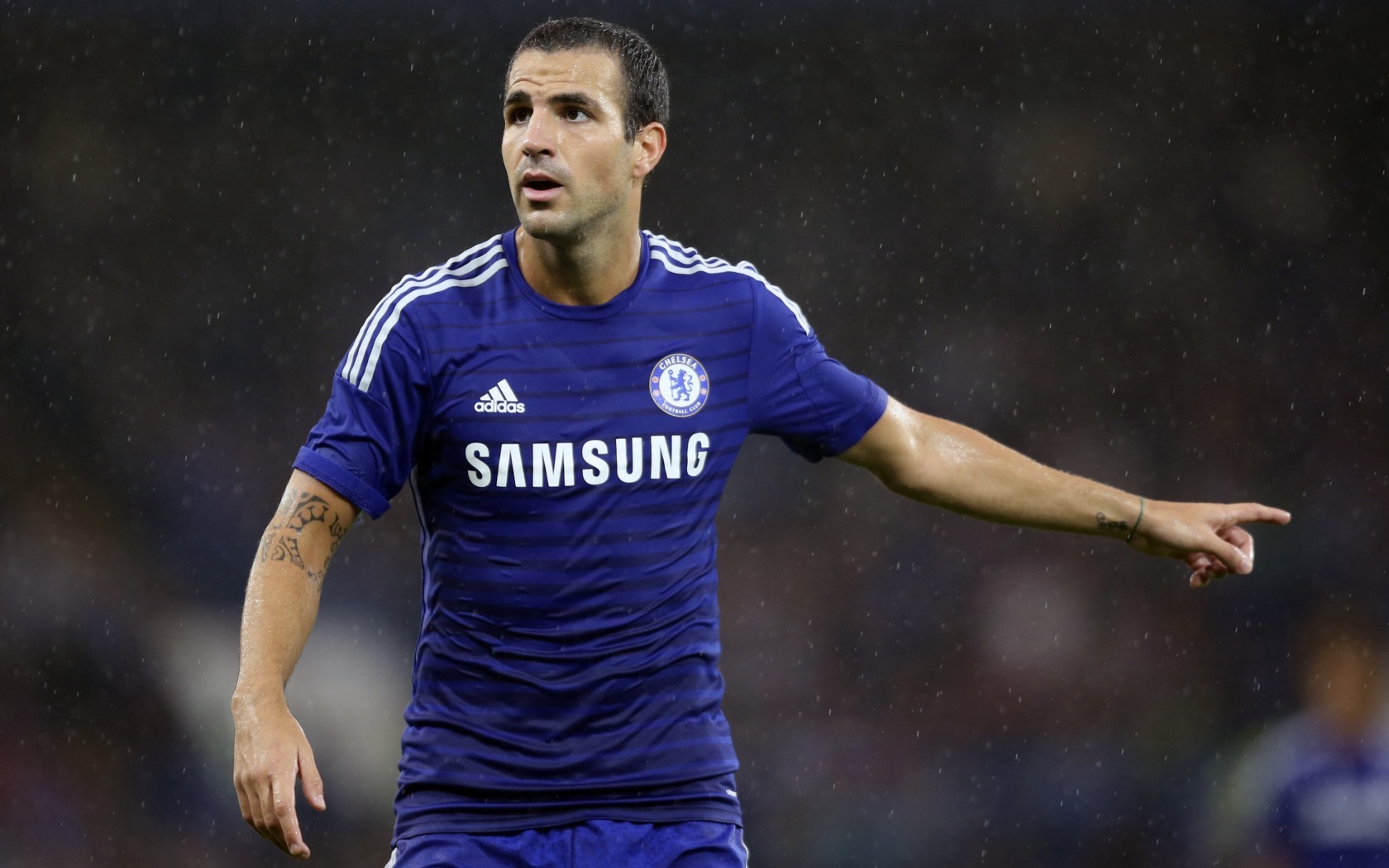 体育 运动 足球 切尔西 法布雷加斯