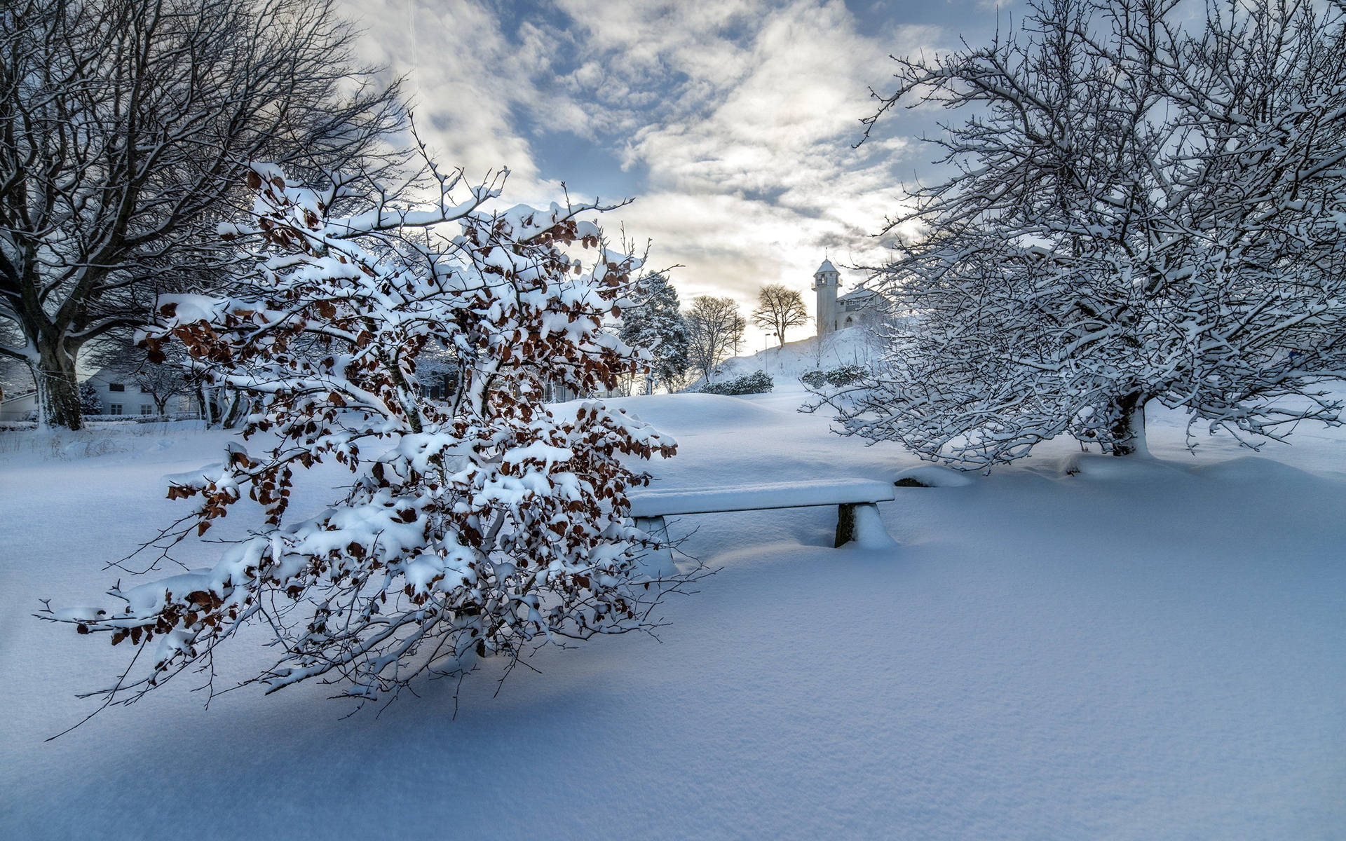 冰天雪地  冬季  唯美  雪景