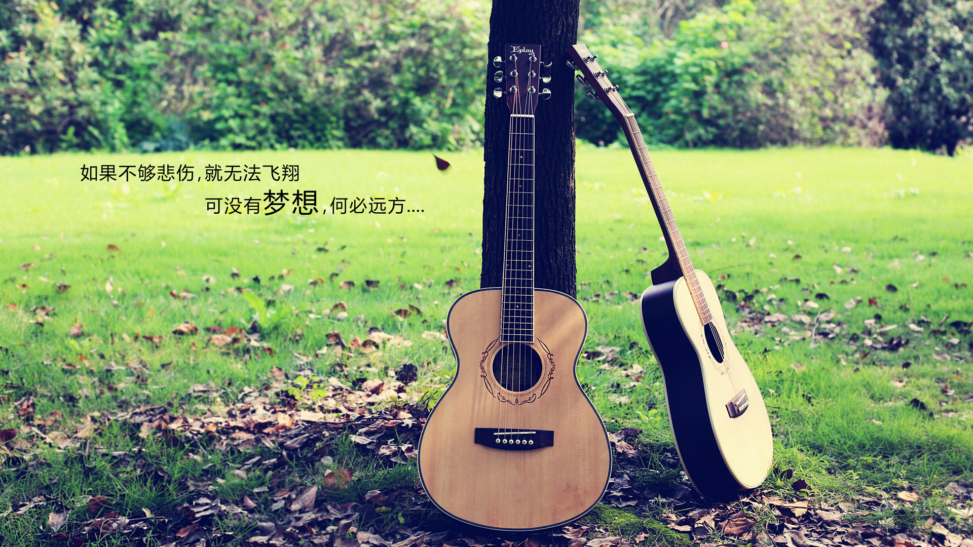 文字 吉他 歌词