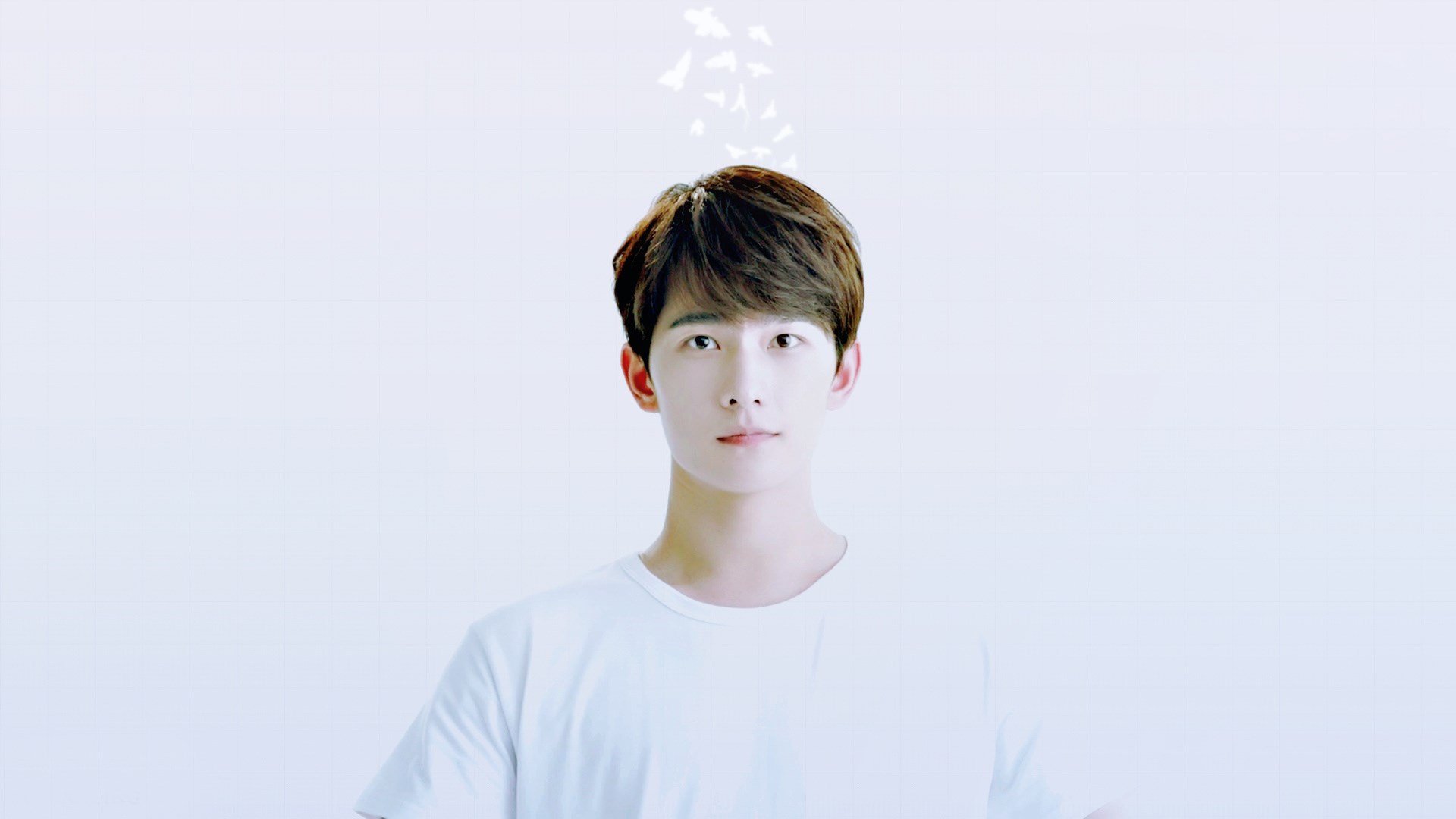 杨洋 明星 帅哥 宽屏 小鲜肉