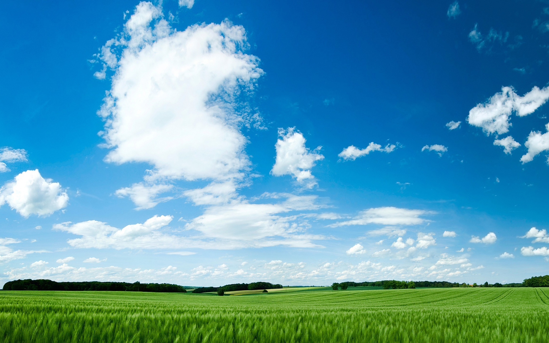 小清新 护眼壁纸 草地 蓝天白云