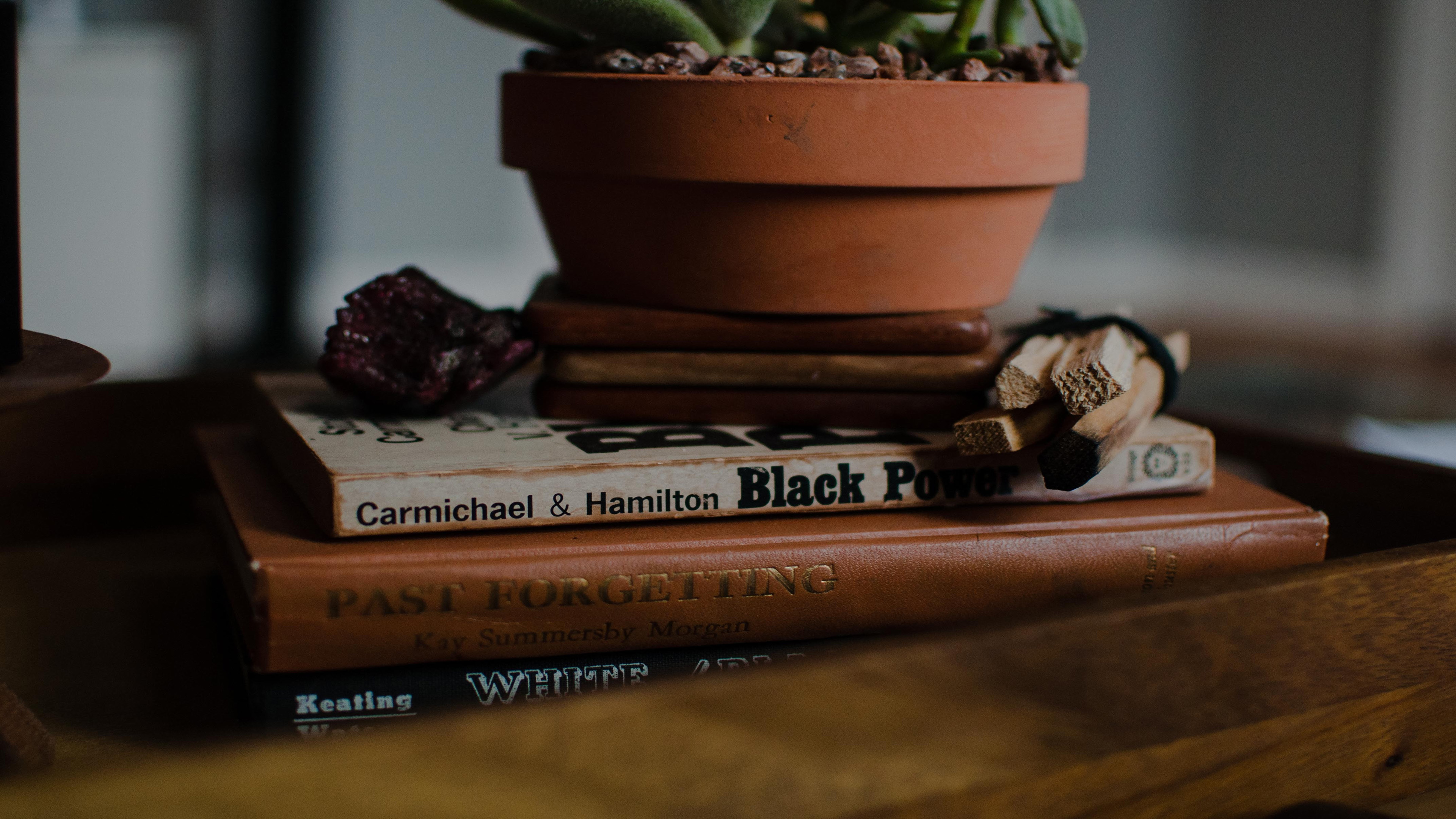 4K 小清新 盆栽 静物写真