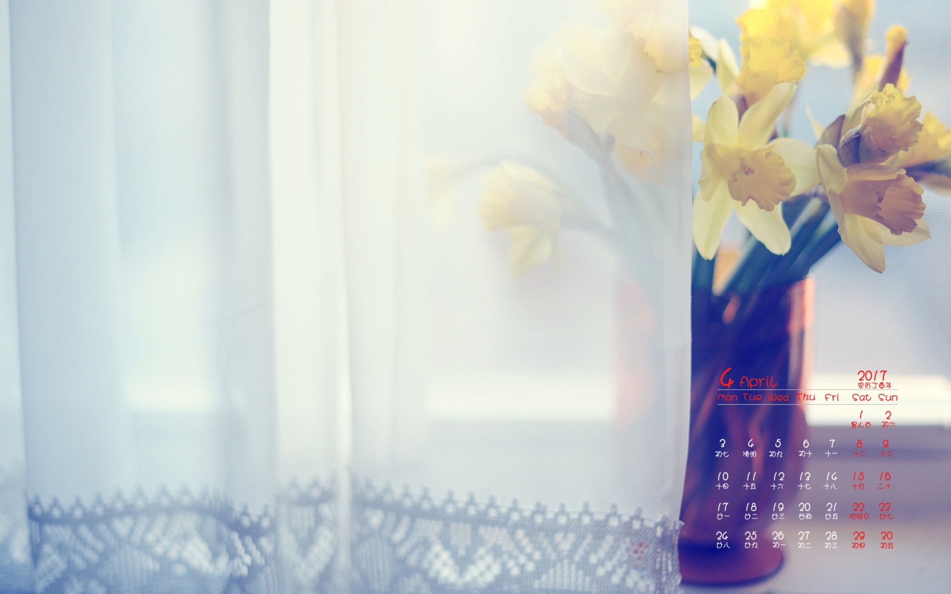 2017年4月 小黄花