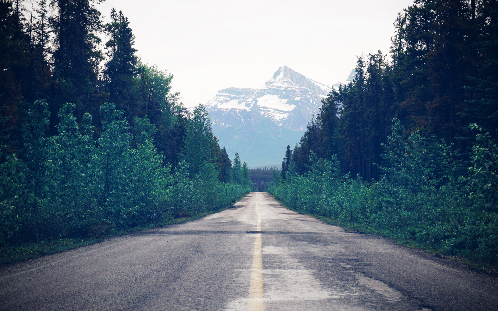 风景 自然风光 道路 远山 森林