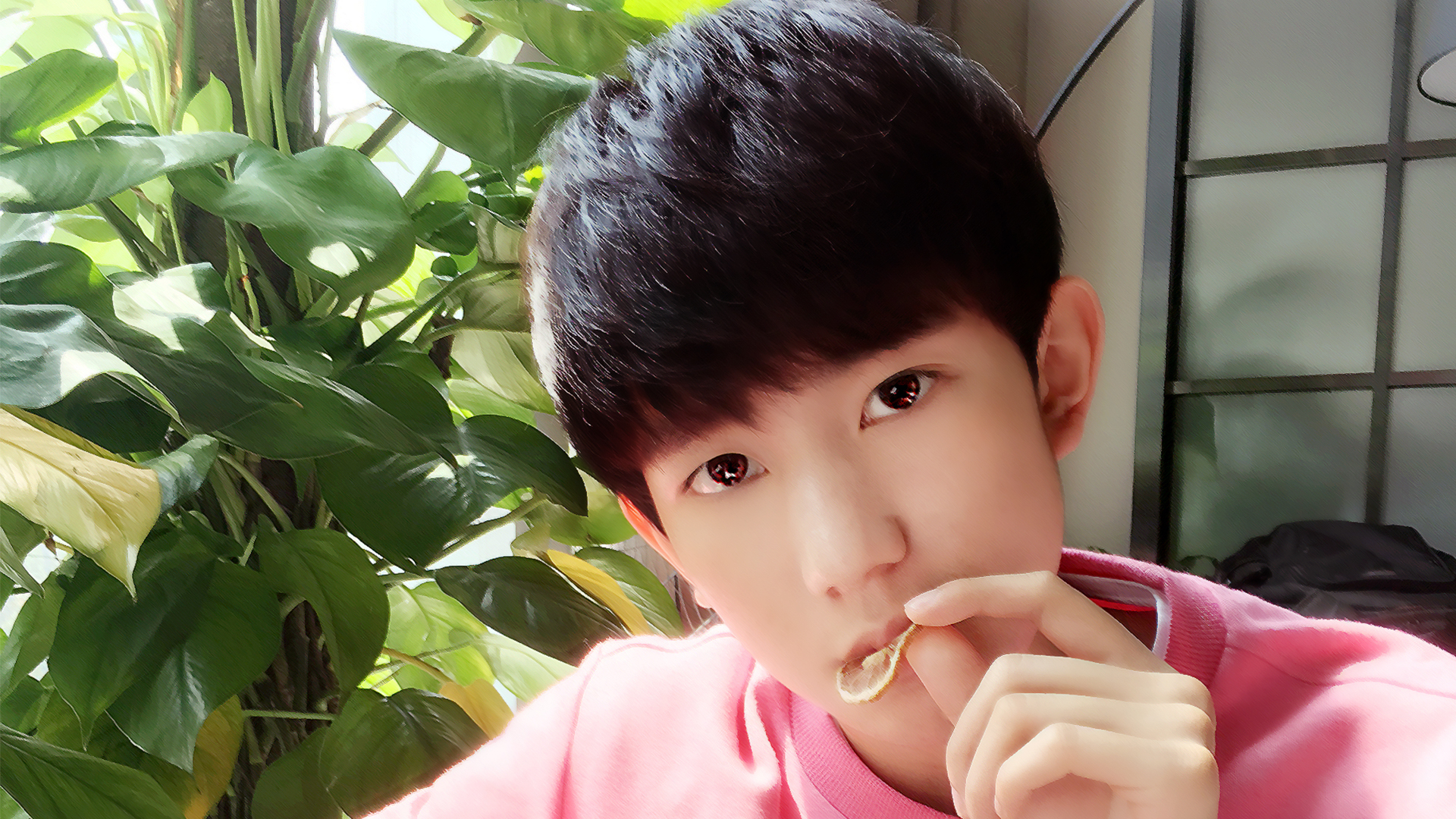 tfboys 王源