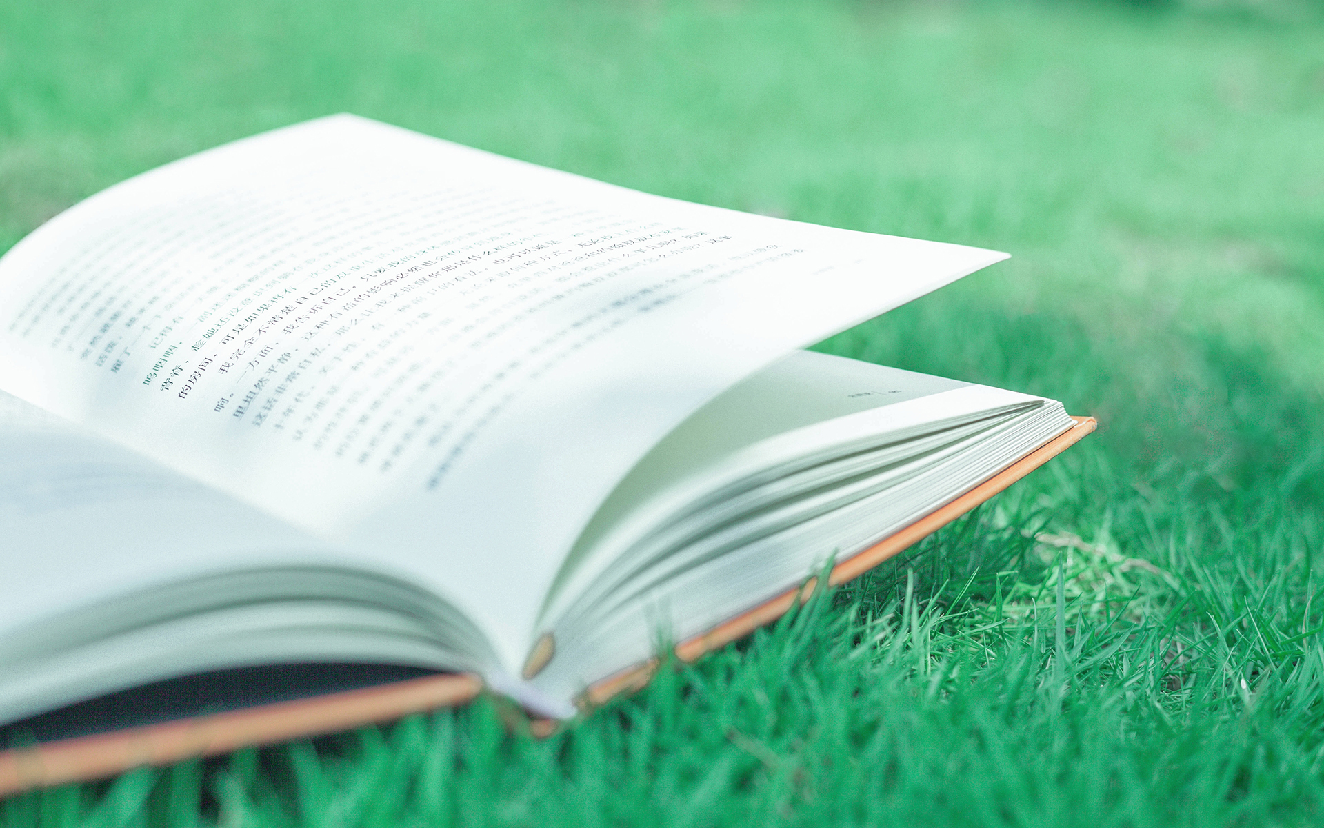 静物写真  文艺小清新