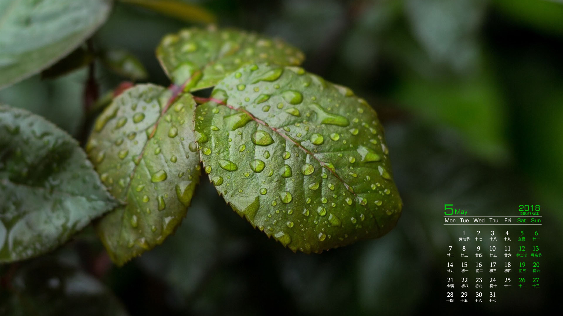 月历 2018年5月