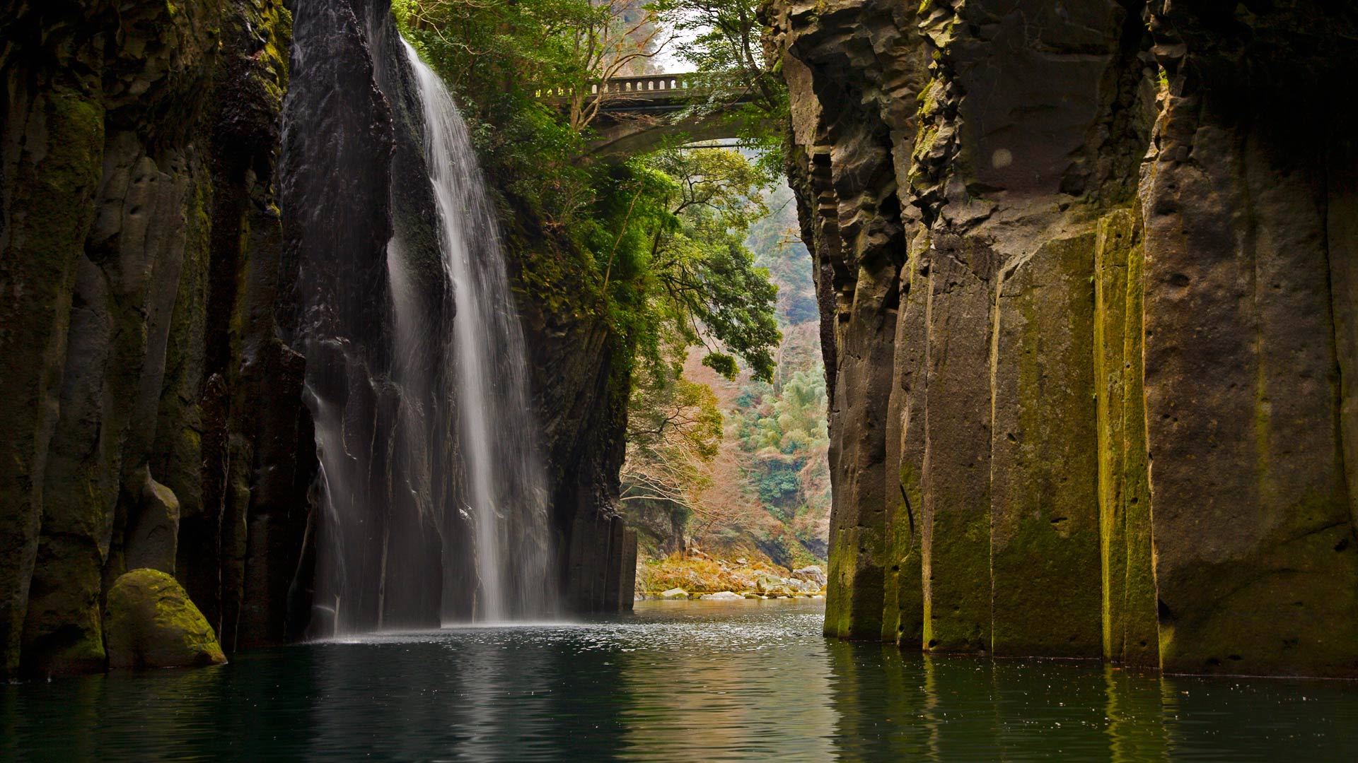 风景 草地 养眼