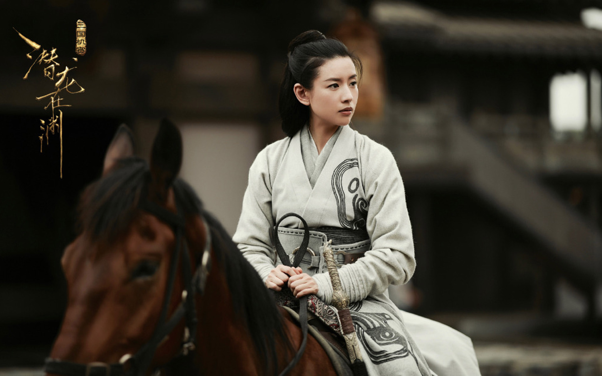 影视 电视剧 董洁 三国机密之潜龙在渊