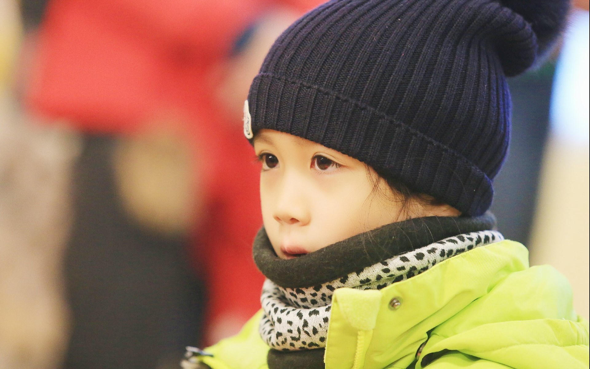 baby 爸爸去哪儿 考拉