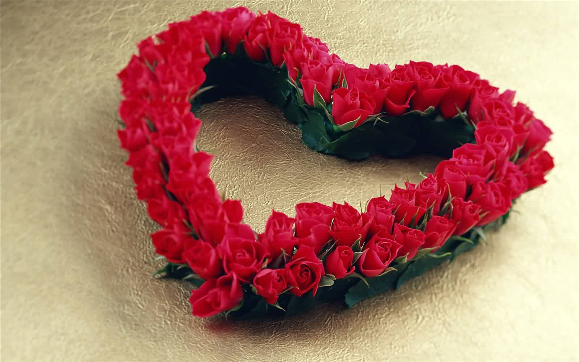 爱情 爱心 玫瑰花 温馨 感动 宽屏