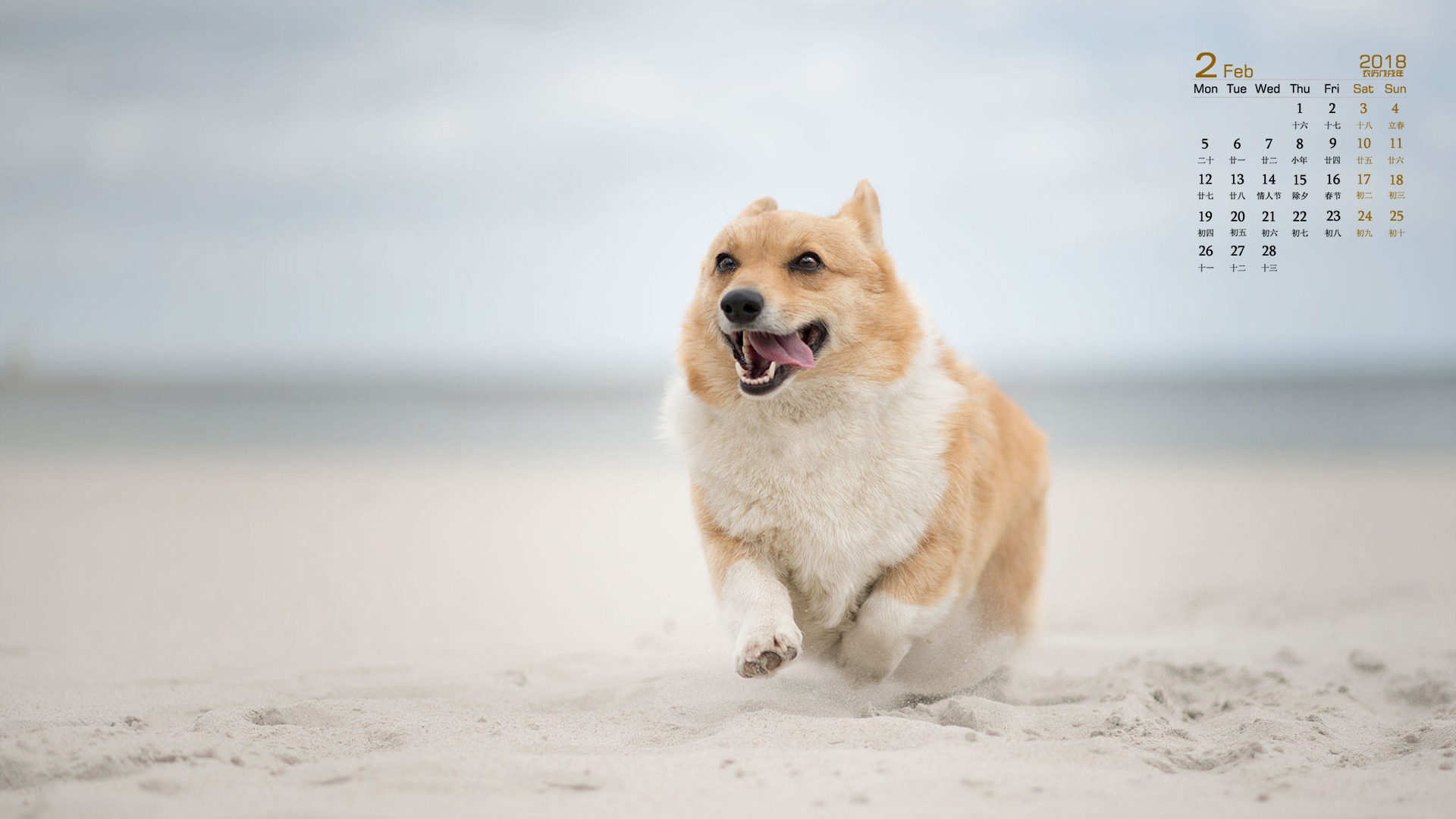 月历 2018年2月