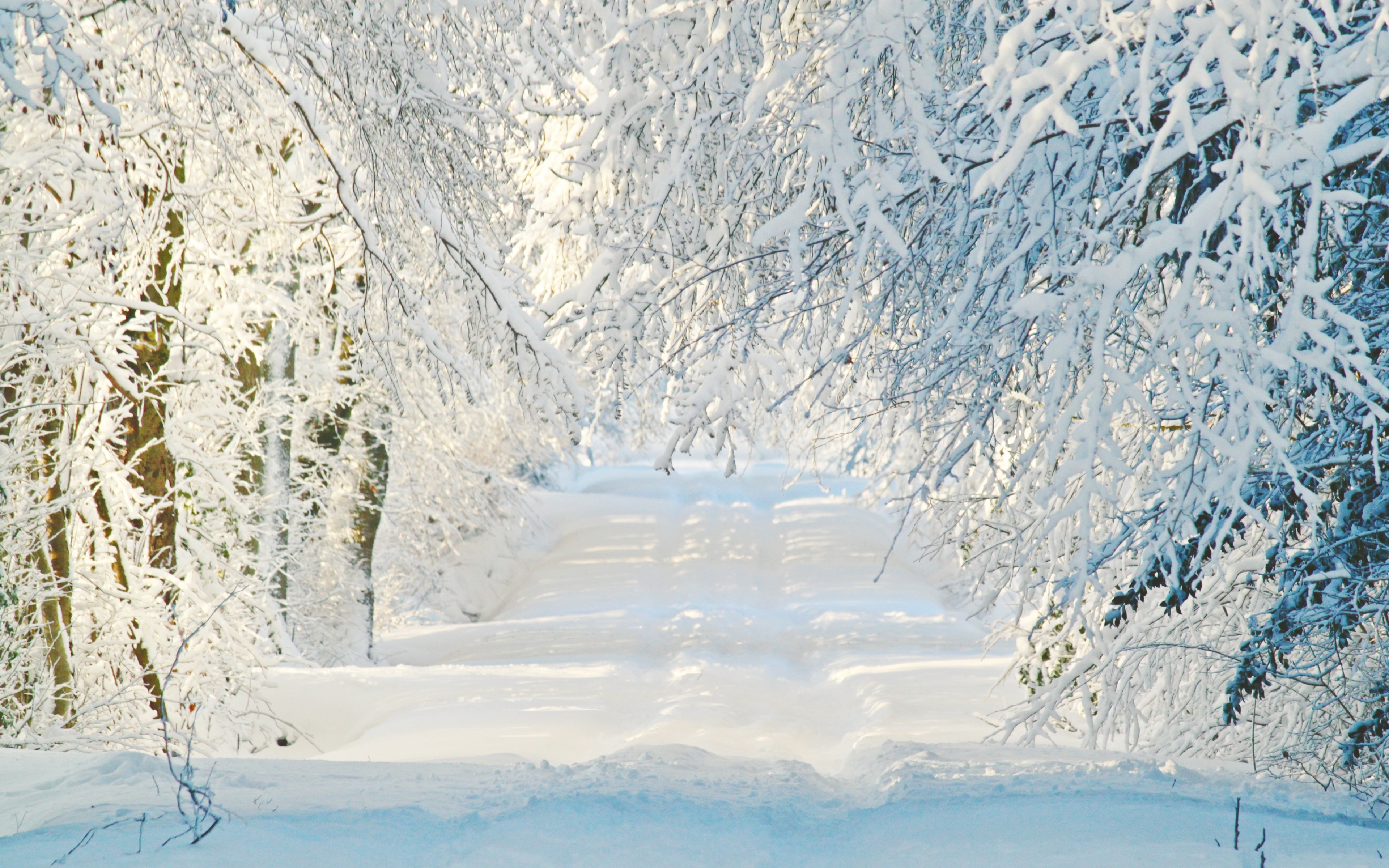 冰天雪地 雪景