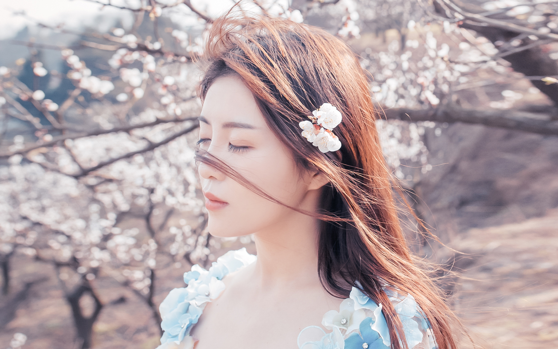 清纯 日系 唯美 樱花