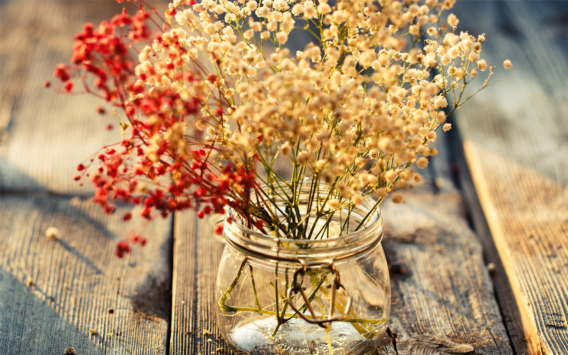 小清新 温馨 简单 宽屏