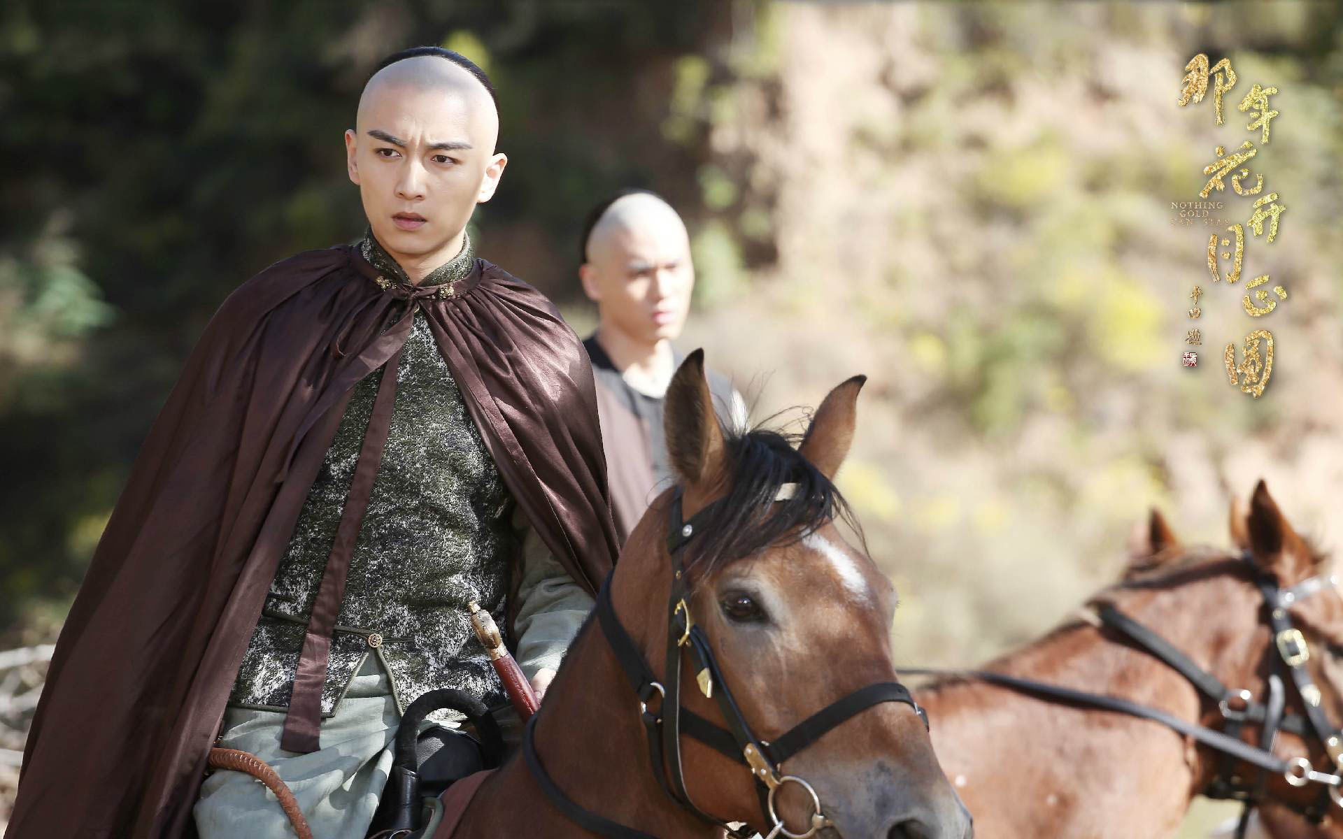 影视 电视剧 那年花开月正圆