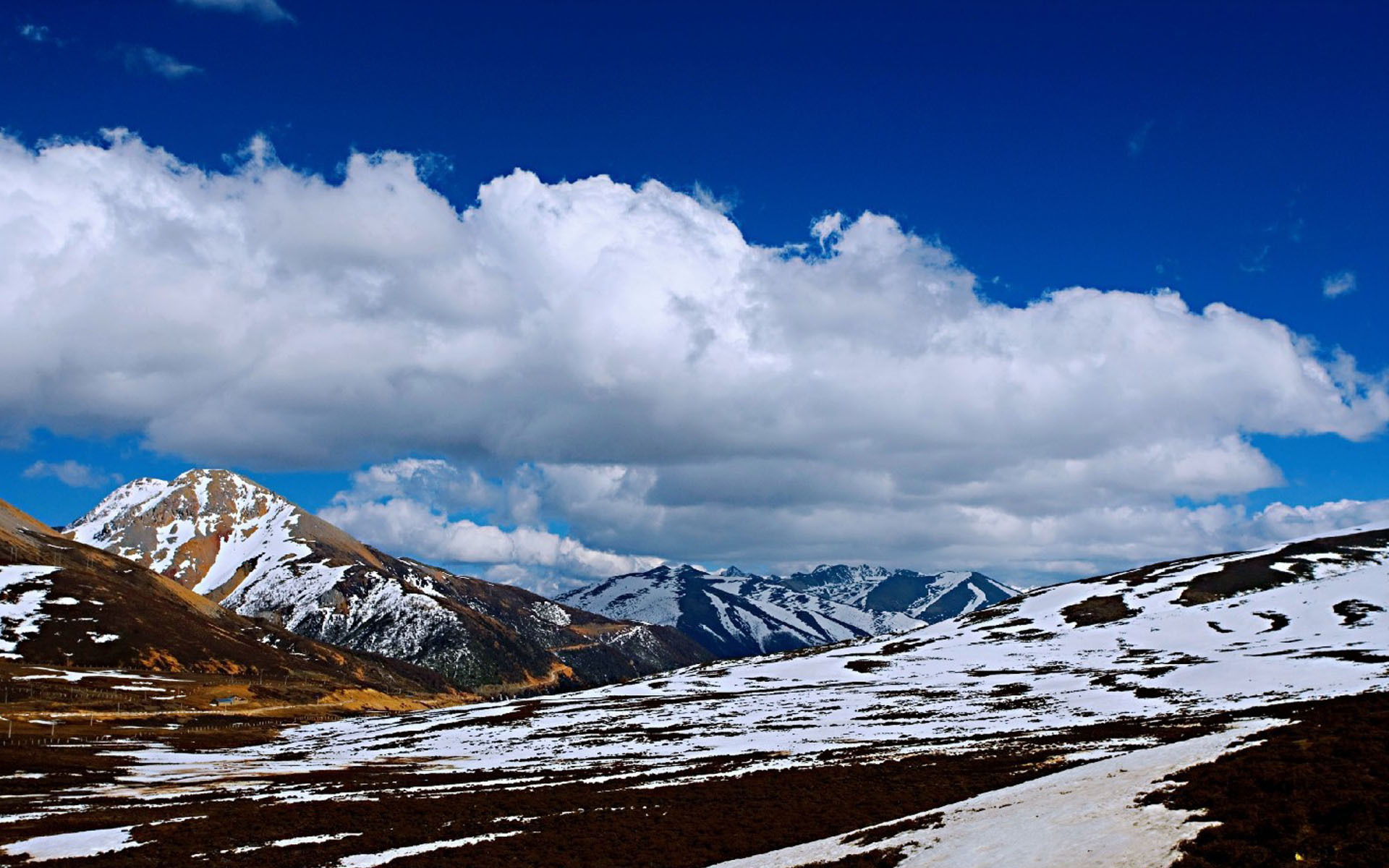 冰天雪地  云南白马雪山风景